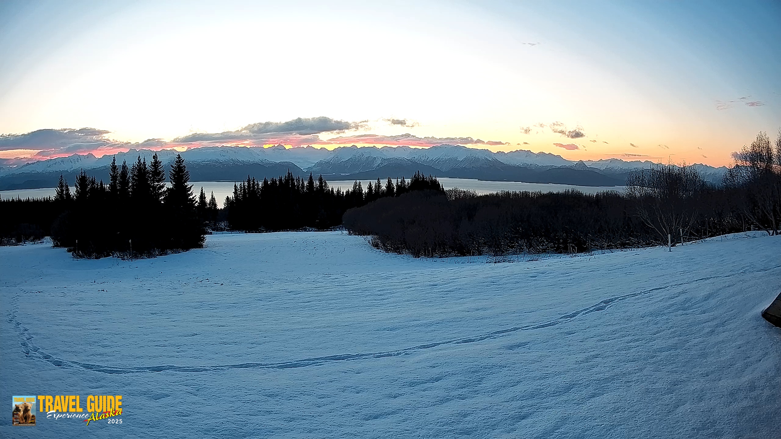 Snapshot of Homer Alaska Northern Lights Live Cam taken Feb 15, 2026, 8:37am AKST
