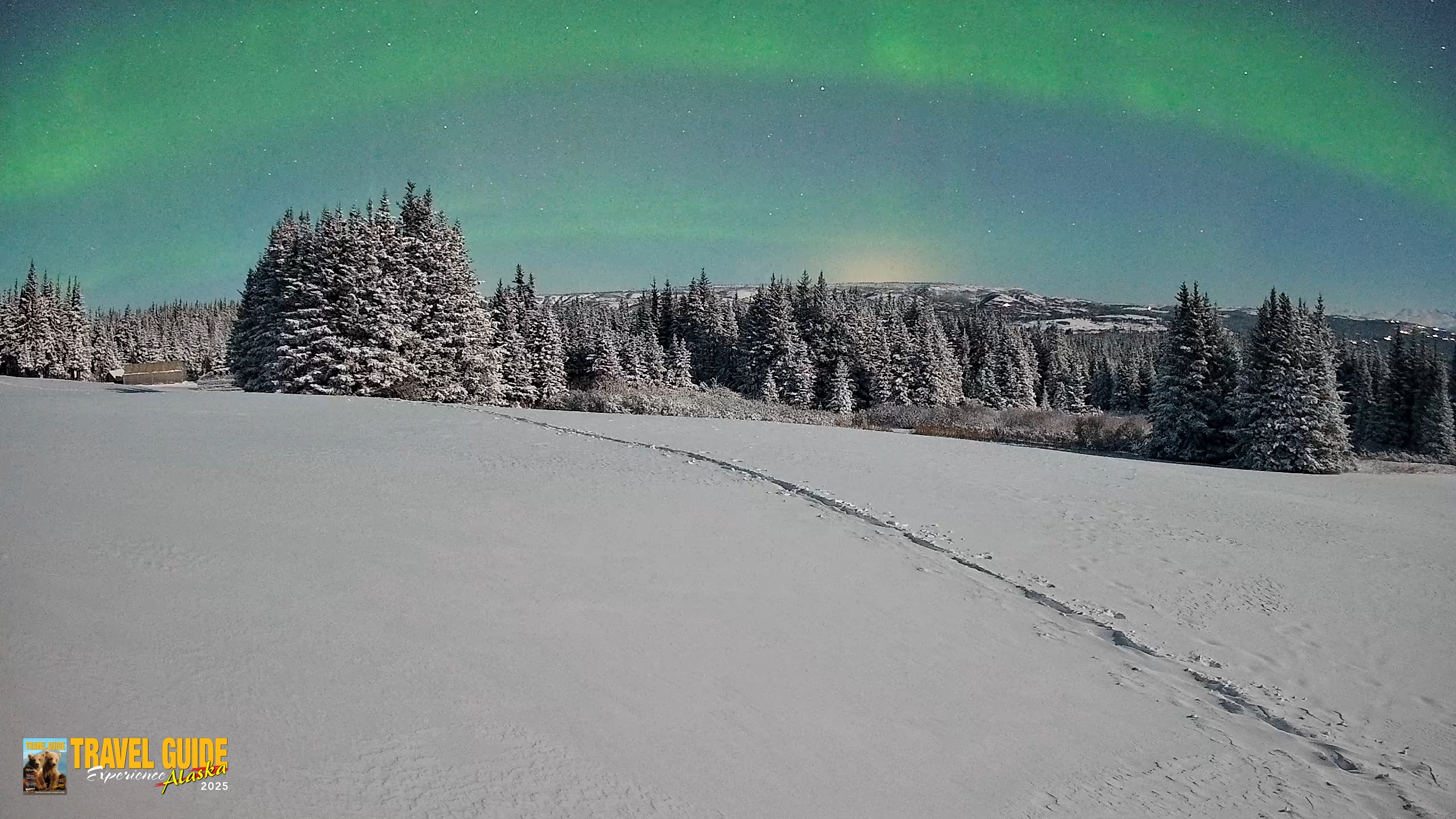 Snapshot of Homer Alaska Northern Lights Live Cam taken Jan 8, 2026, 2:39am AKST