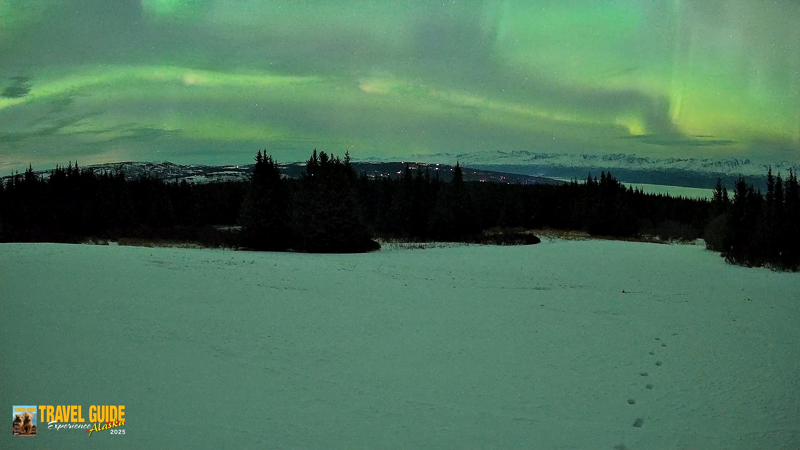 Snapshot of Homer Alaska Northern Lights Live Cam taken Jan 20, 2026, 11:13pm AKST