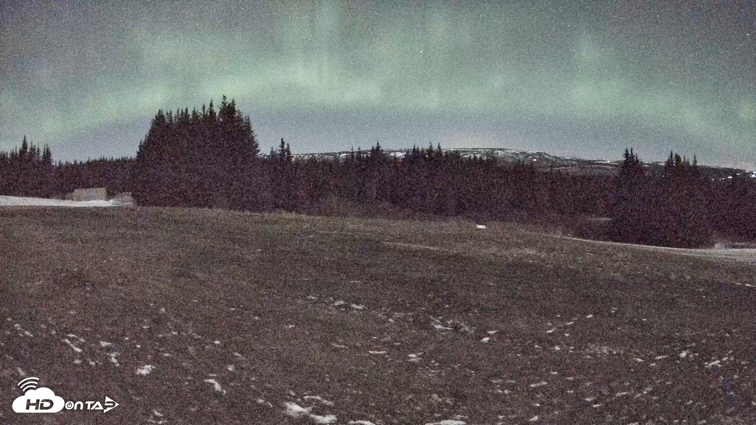 Snapshot of Homer Alaska Northern Lights Live Cam taken Dec 10, 2025, 4:20am AKST