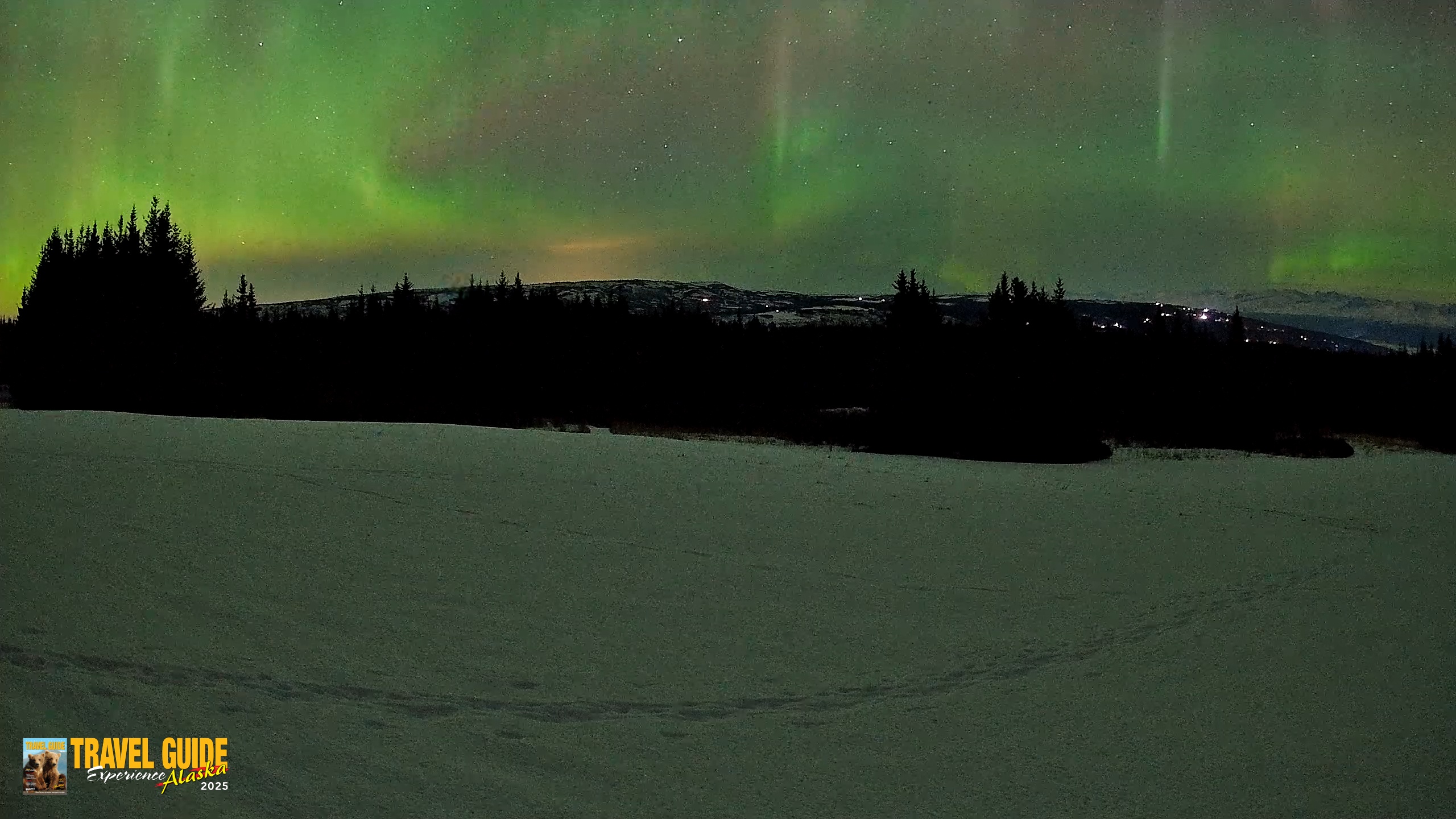 Snapshot of Homer Alaska Northern Lights Live Cam taken Feb 22, 2026, 12:24am AKST