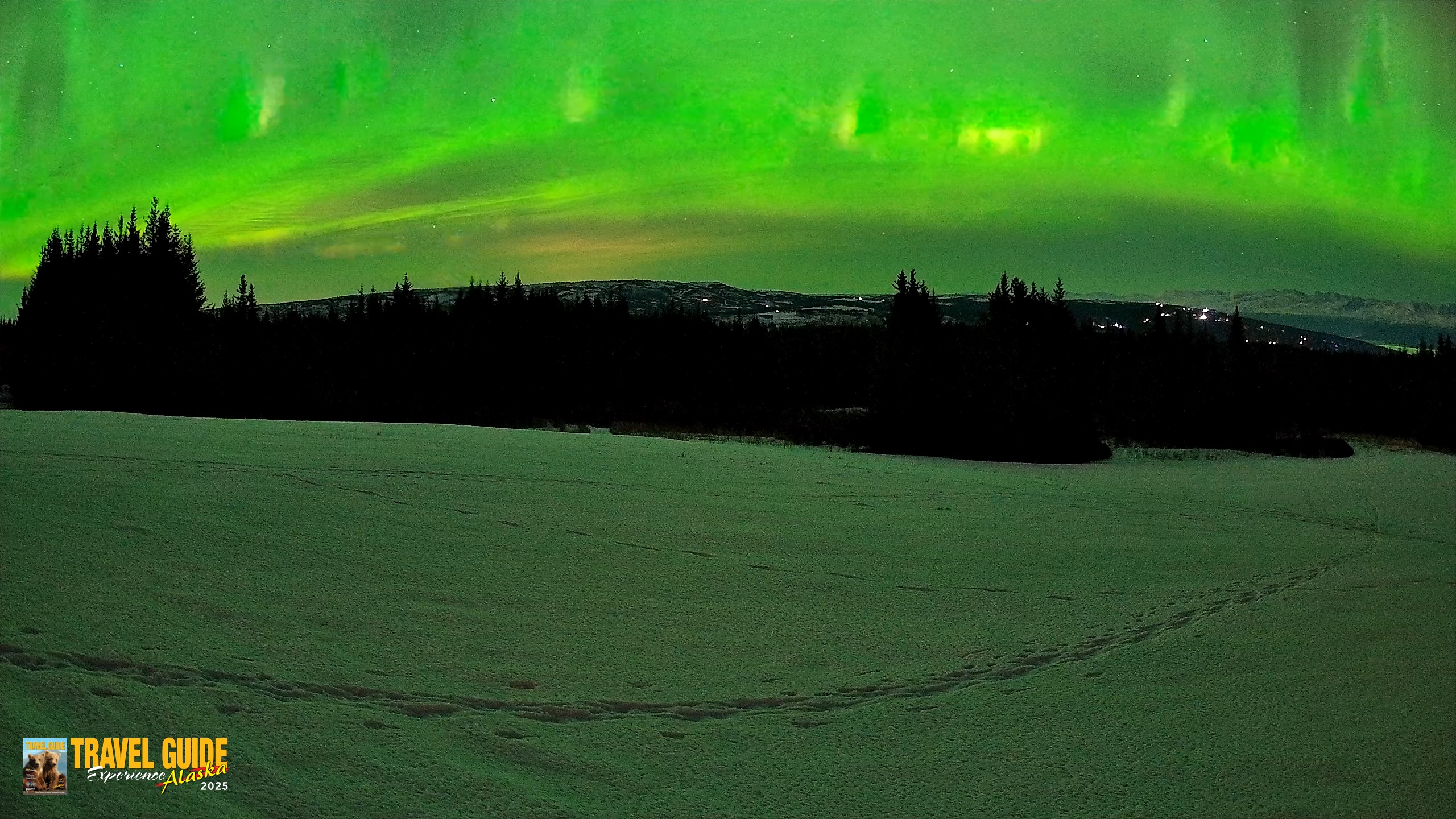 Snapshot of Homer Alaska Northern Lights Live Cam taken Feb 21, 2026, 11:30pm AKST