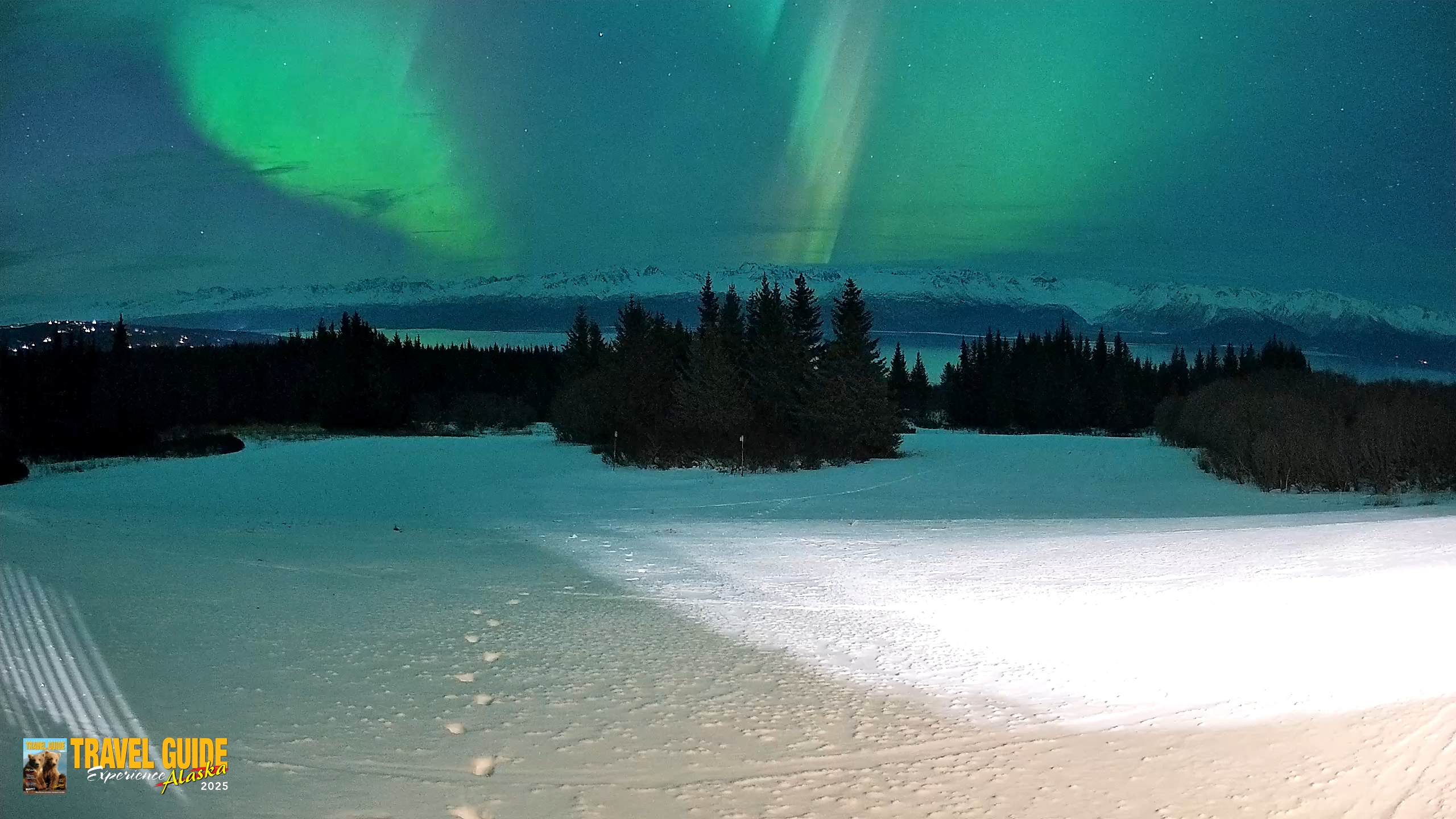 Snapshot of Homer Alaska Northern Lights Live Cam taken Jan 20, 2026, 9:50pm AKST