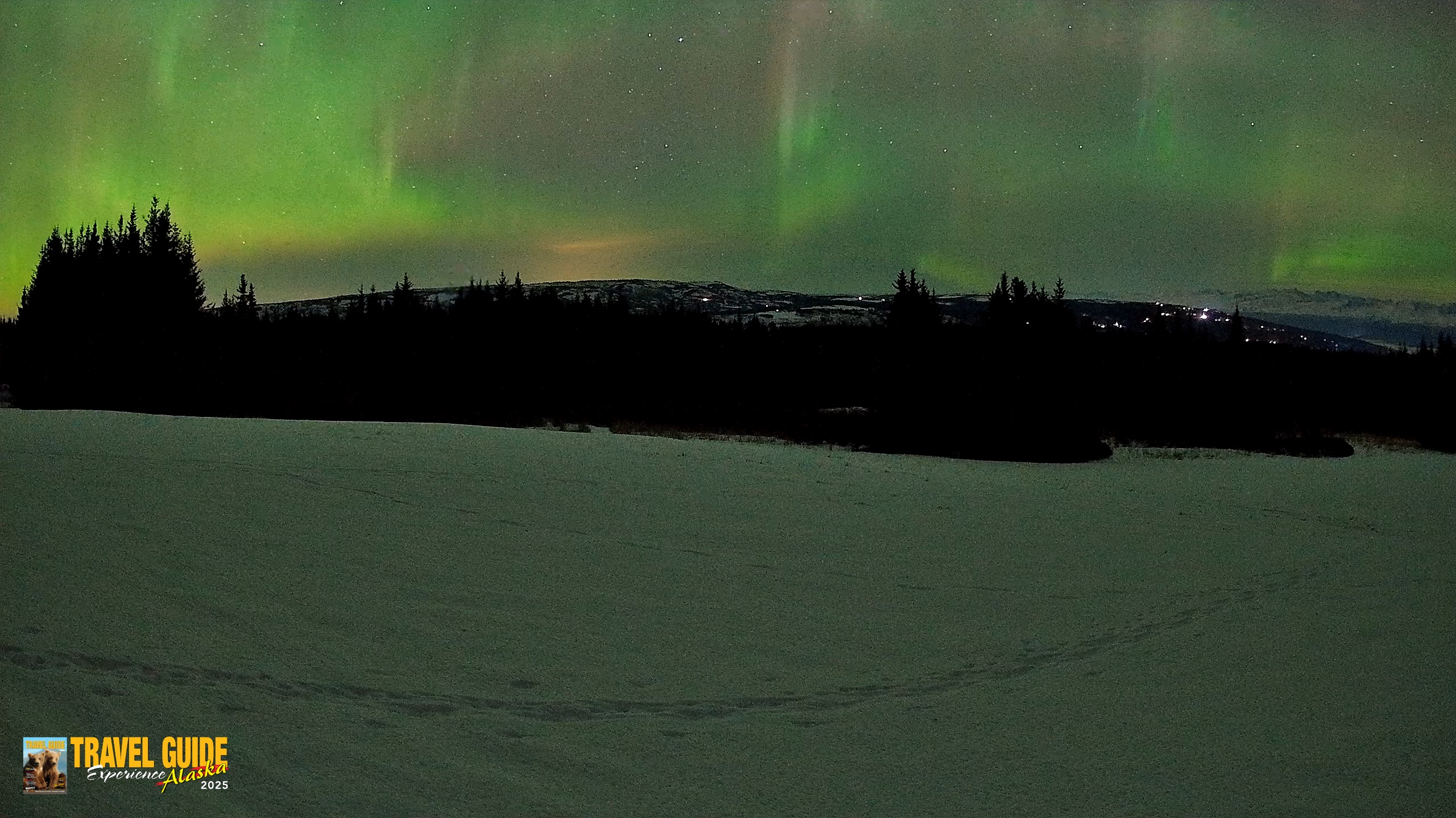 Snapshot of Homer Alaska Northern Lights Live Cam taken Feb 22, 2026, 12:24am AKST