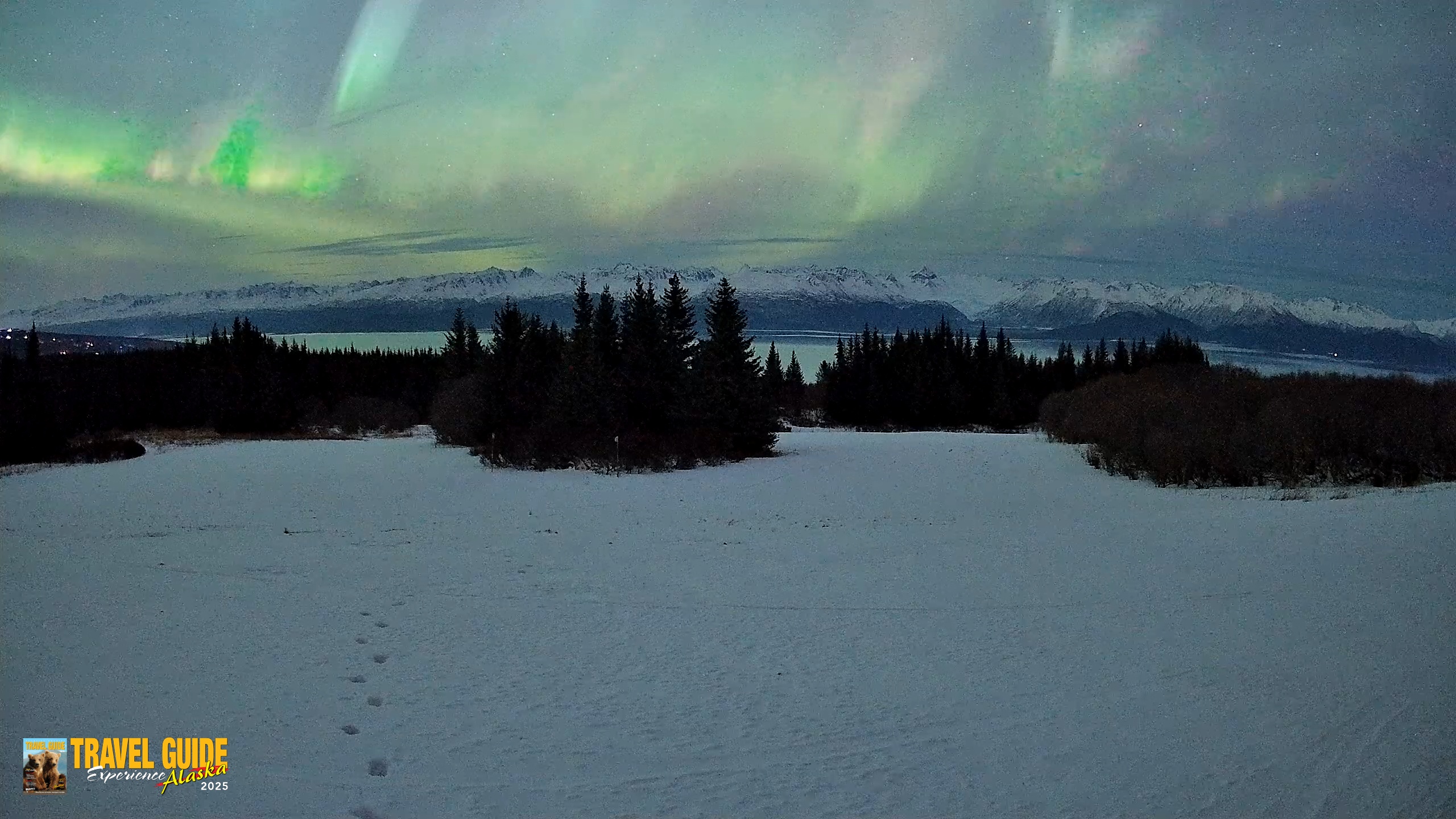 Snapshot of Homer Alaska Northern Lights Live Cam taken Jan 20, 2026, 11:07pm AKST