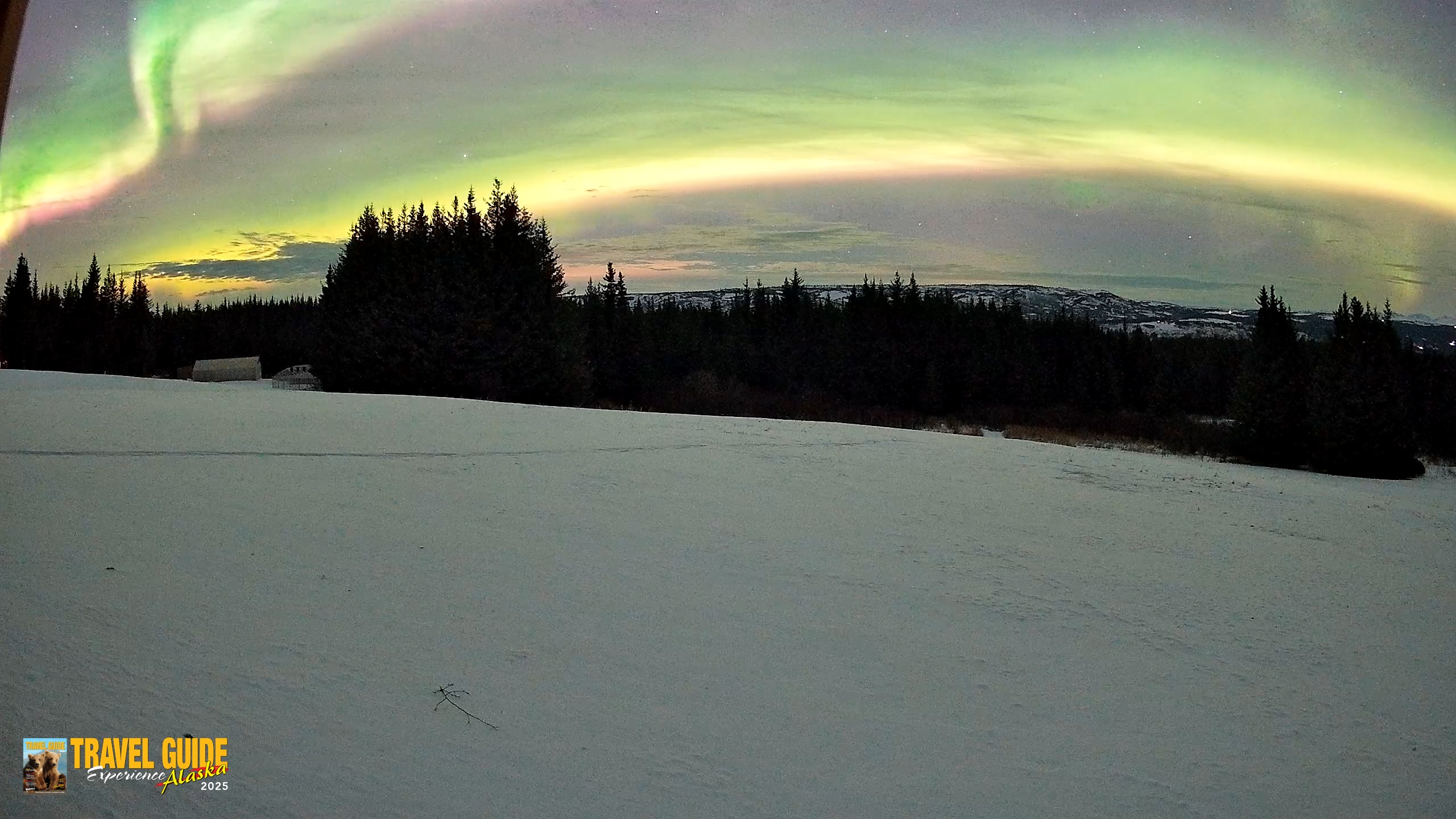 Snapshot of Homer Alaska Northern Lights Live Cam taken Jan 20, 2026, 11:47pm AKST