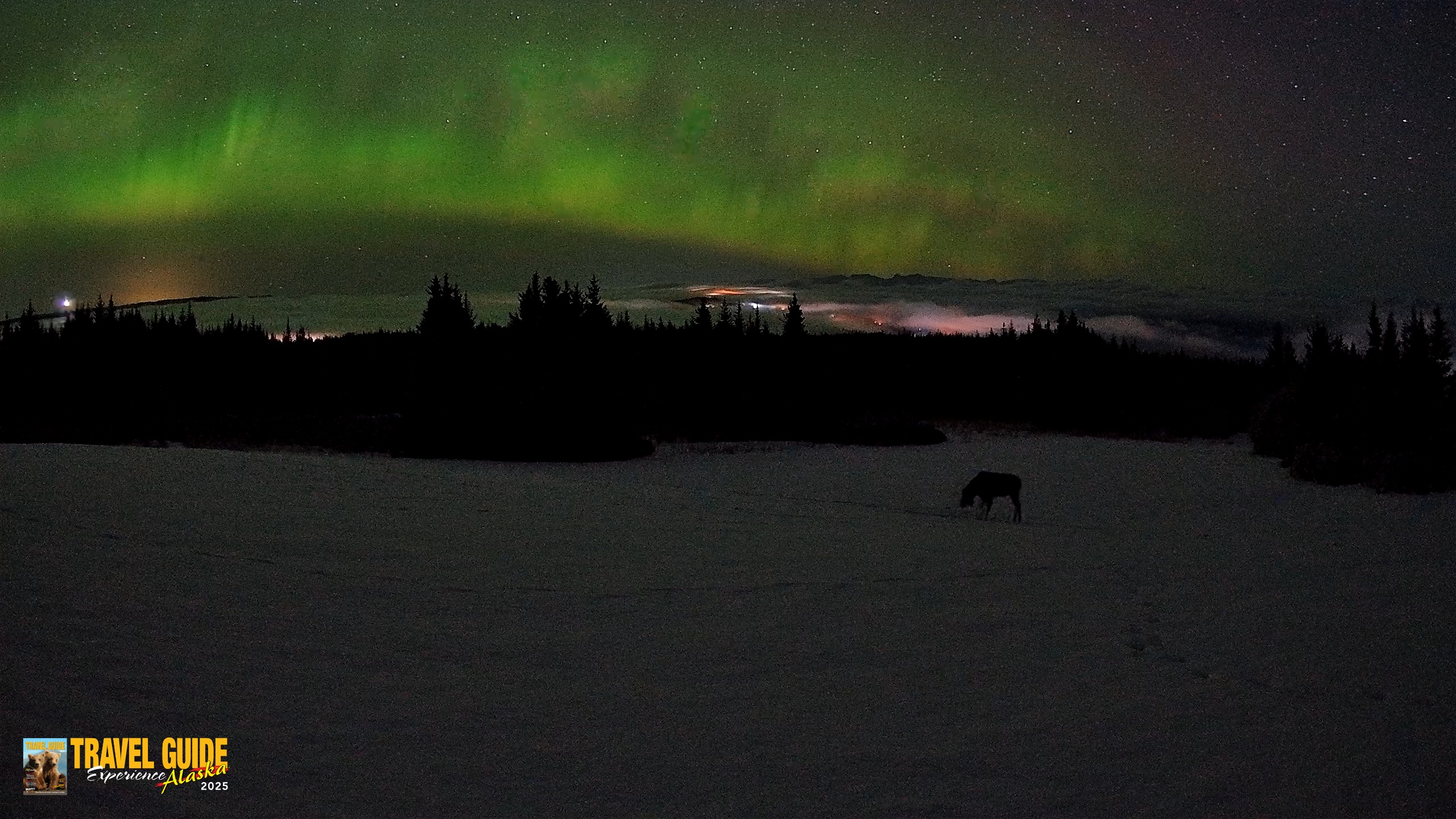 Snapshot of Homer Alaska Northern Lights Live Cam taken Feb 19, 2026, 3:56am AKST