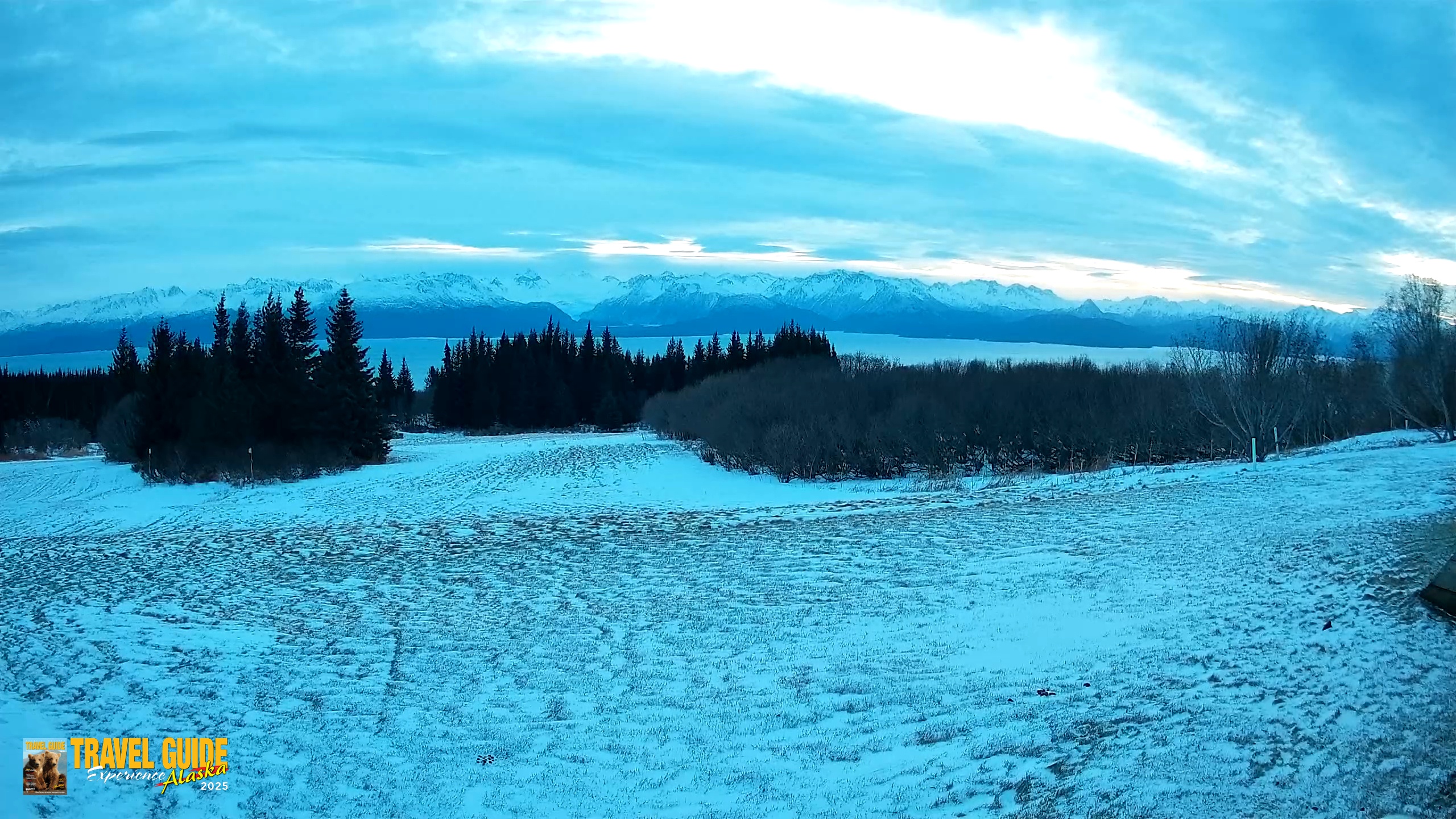 Snapshot of Homer Alaska Northern Lights Live Cam taken Dec 29, 2025, 9:33am AKST