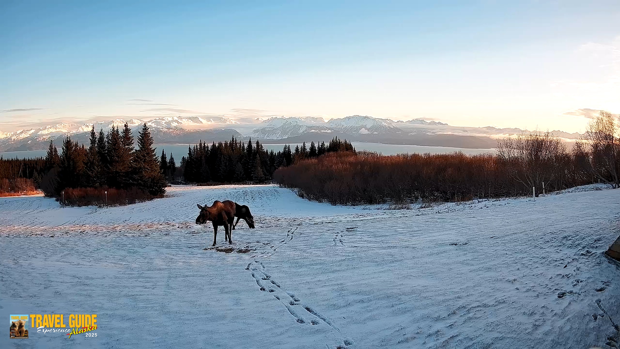 Snapshot of Homer Alaska Northern Lights Live Cam taken Dec 30, 2025, 2:28pm AKST