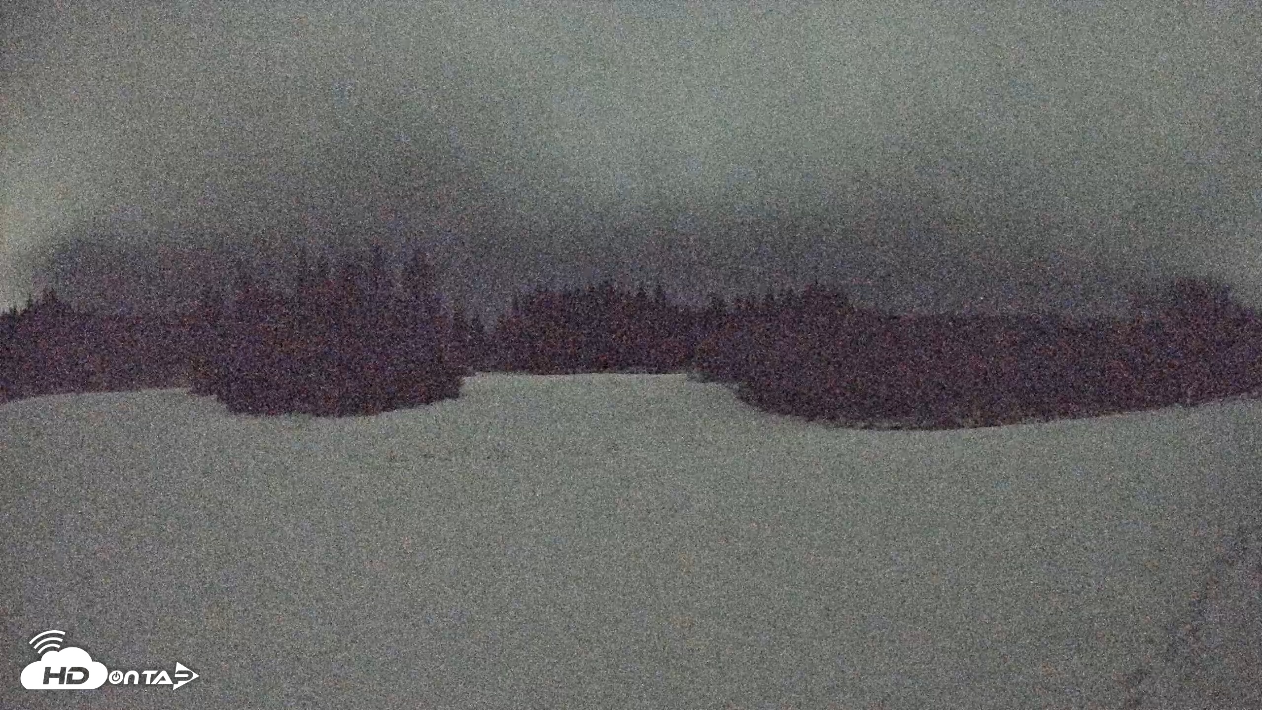 Snapshot of Homer Alaska Northern Lights Live Cam taken Nov 27, 2025, 12:29am AKST