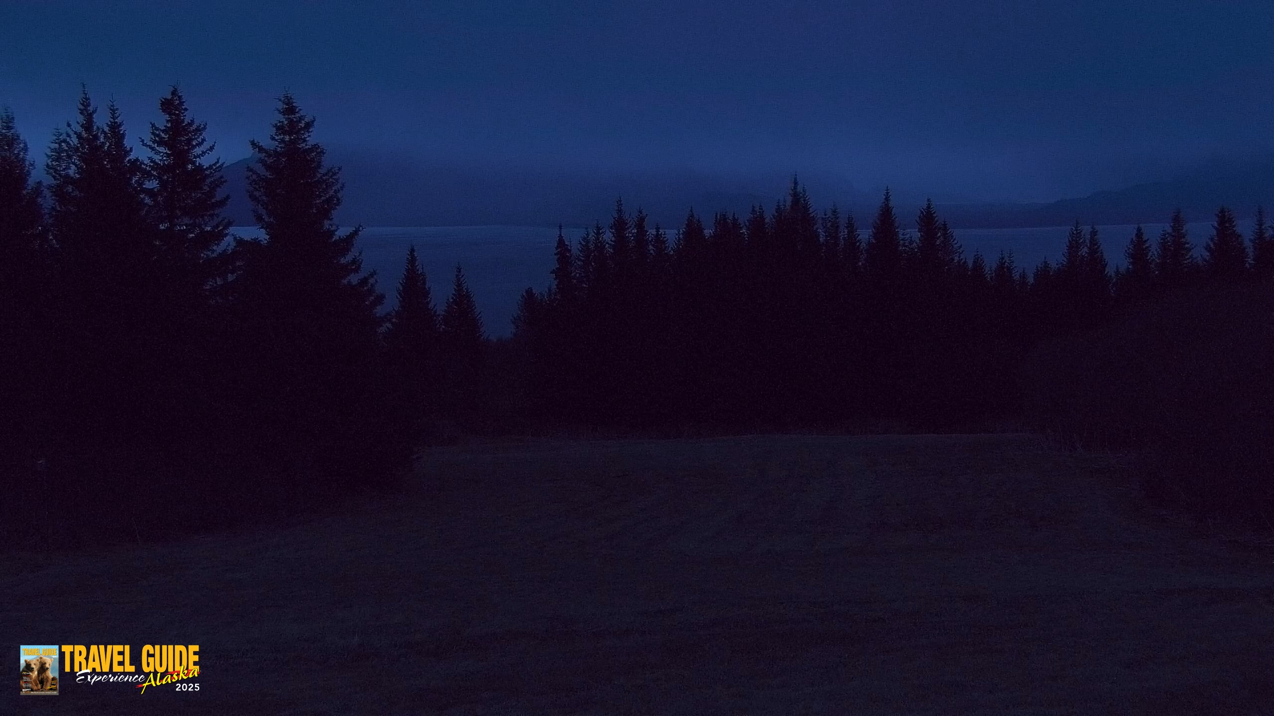 Snapshot of Homer Alaska Northern Lights Live Cam taken May 19, 2026, 4:45am AKDT