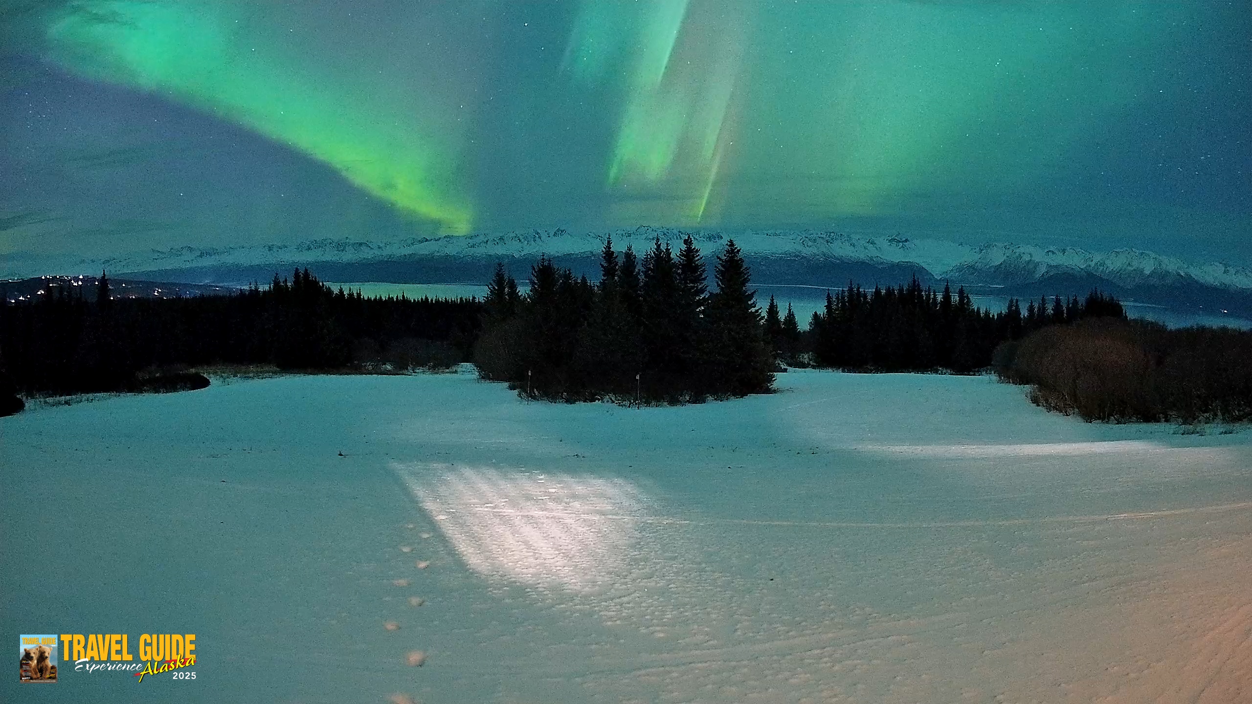 Snapshot of Homer Alaska Northern Lights Live Cam taken Jan 20, 2026, 9:52pm AKST