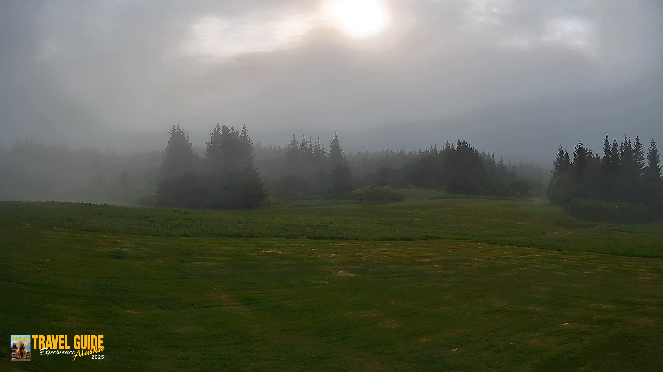 Snapshot of Homer Alaska Northern Lights Live Cam taken Jun 23, 2026, 7:15am AKDT