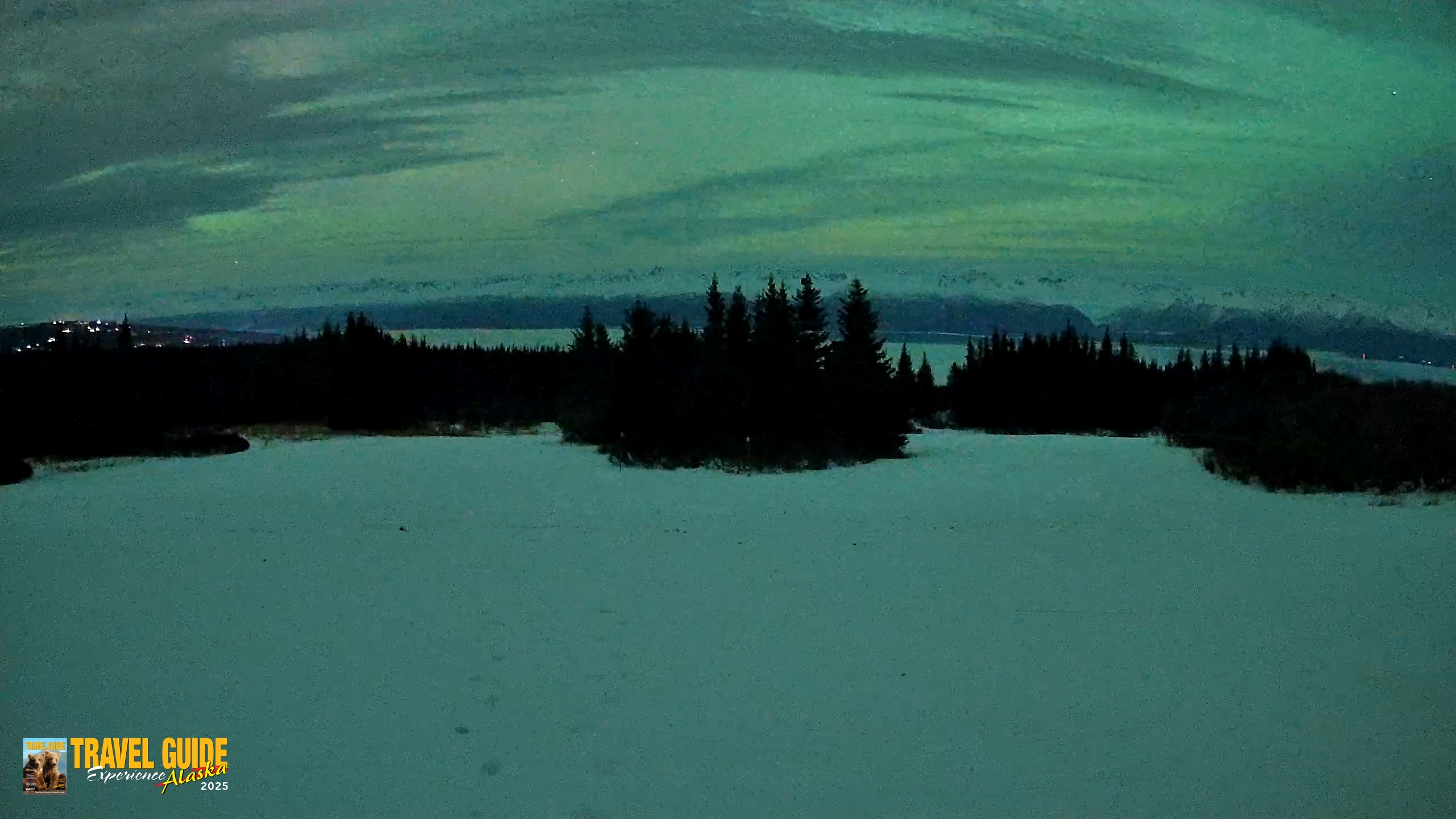 Snapshot of Homer Alaska Northern Lights Live Cam taken Jan 20, 2026, 8:13pm AKST