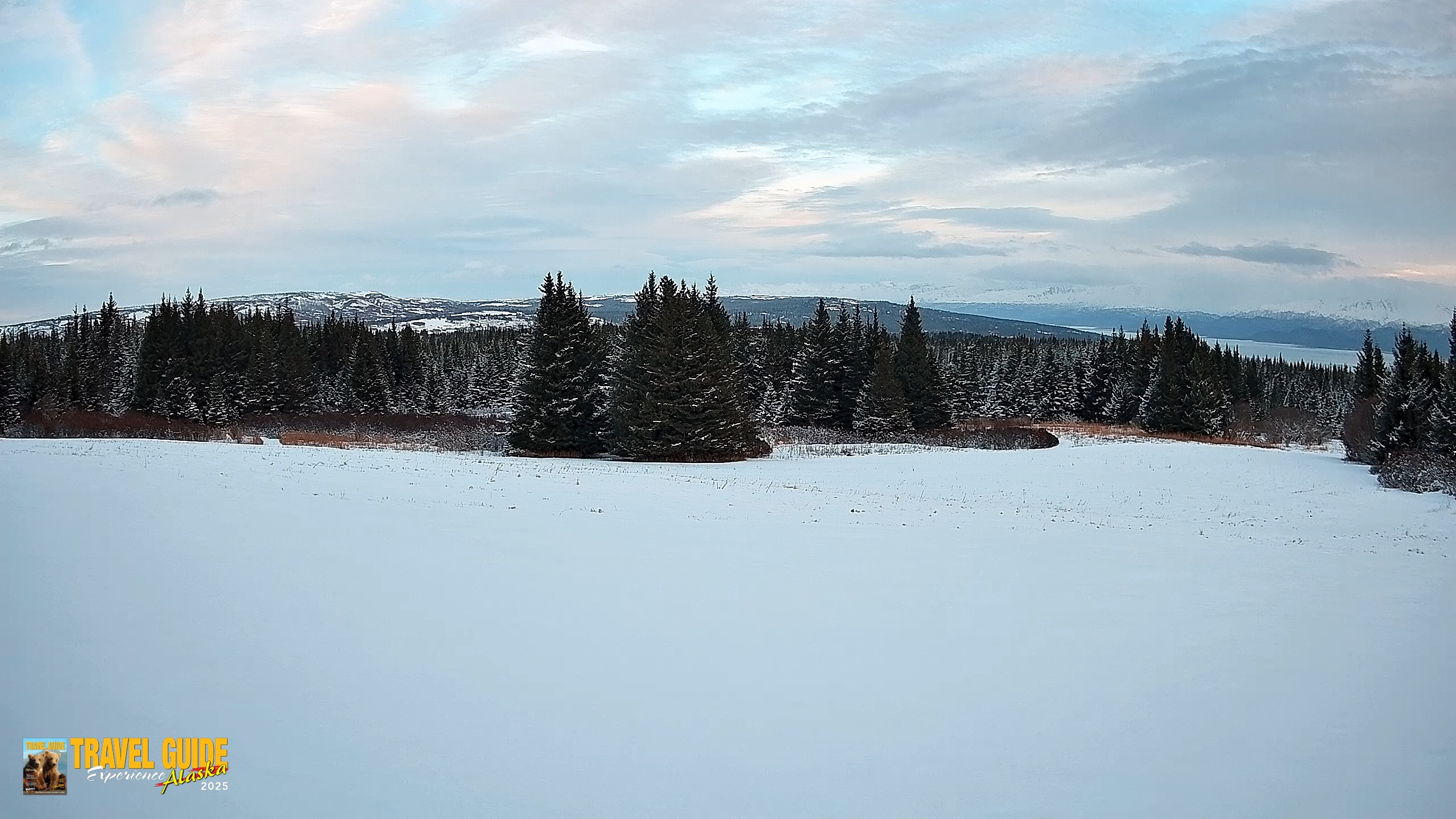Snapshot of Homer Alaska Northern Lights Live Cam taken Feb 11, 2026, 5:24pm AKST