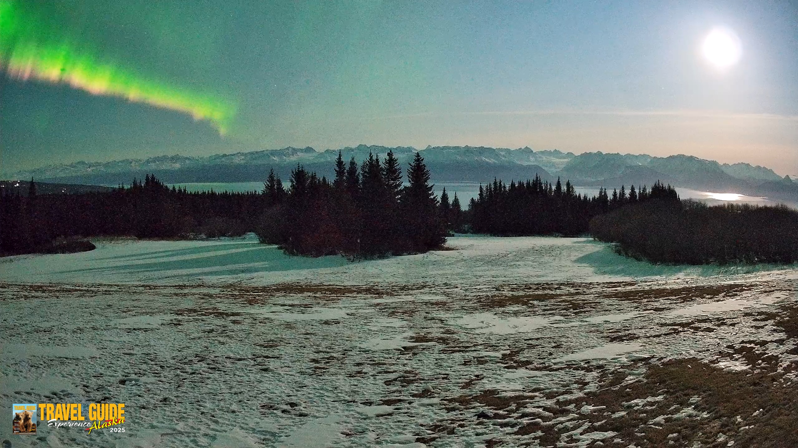 Snapshot of Homer Alaska Northern Lights Live Cam taken Apr 1, 2026, 11:29pm AKDT