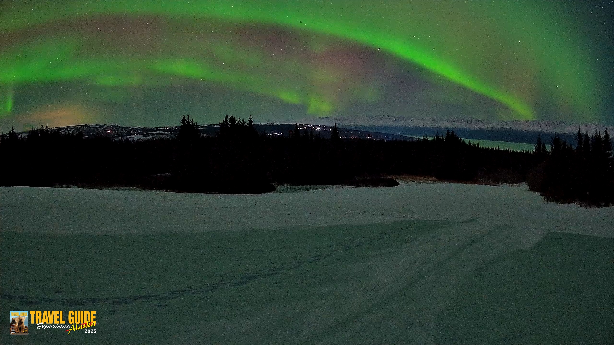 Snapshot of Homer Alaska Northern Lights Live Cam taken Feb 21, 2026, 10:22pm AKST
