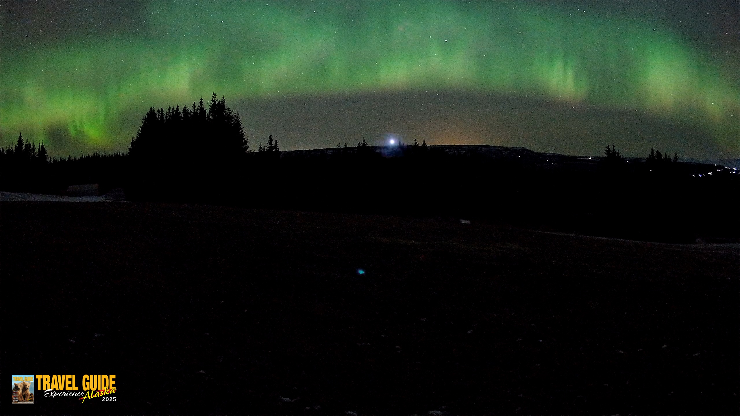 Snapshot of Homer Alaska Northern Lights Live Cam taken Dec 23, 2025, 3:52am AKST