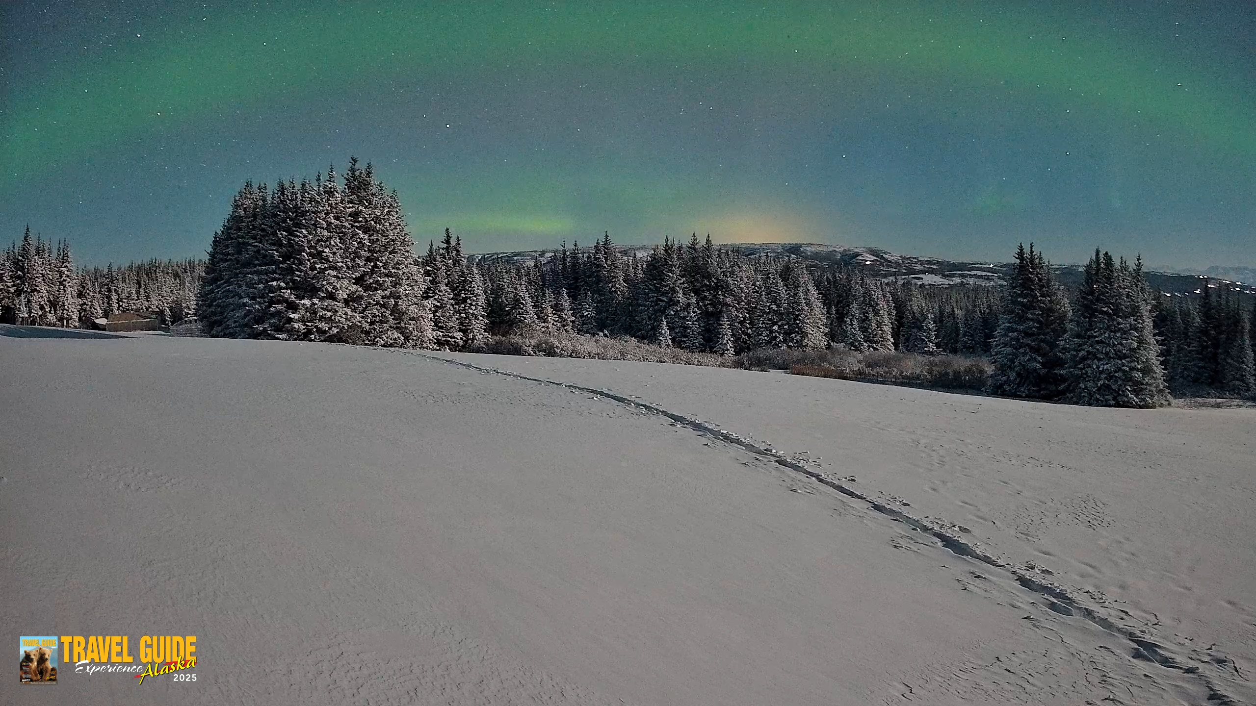 Snapshot of Homer Alaska Northern Lights Live Cam taken Jan 8, 2026, 1:46am AKST