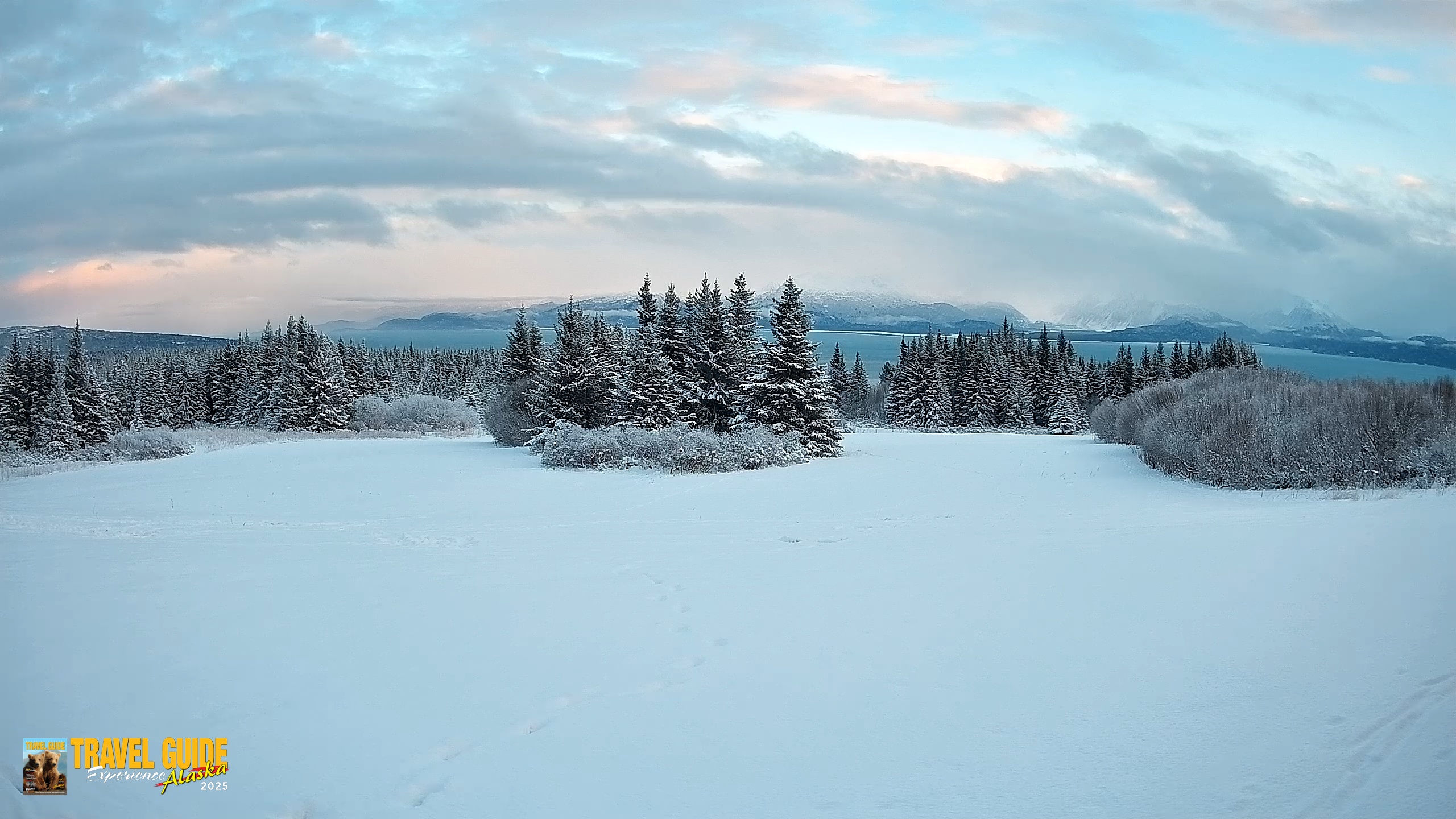 Snapshot of Homer Alaska Northern Lights Live Cam taken Jan 13, 2026, 4:00pm AKST
