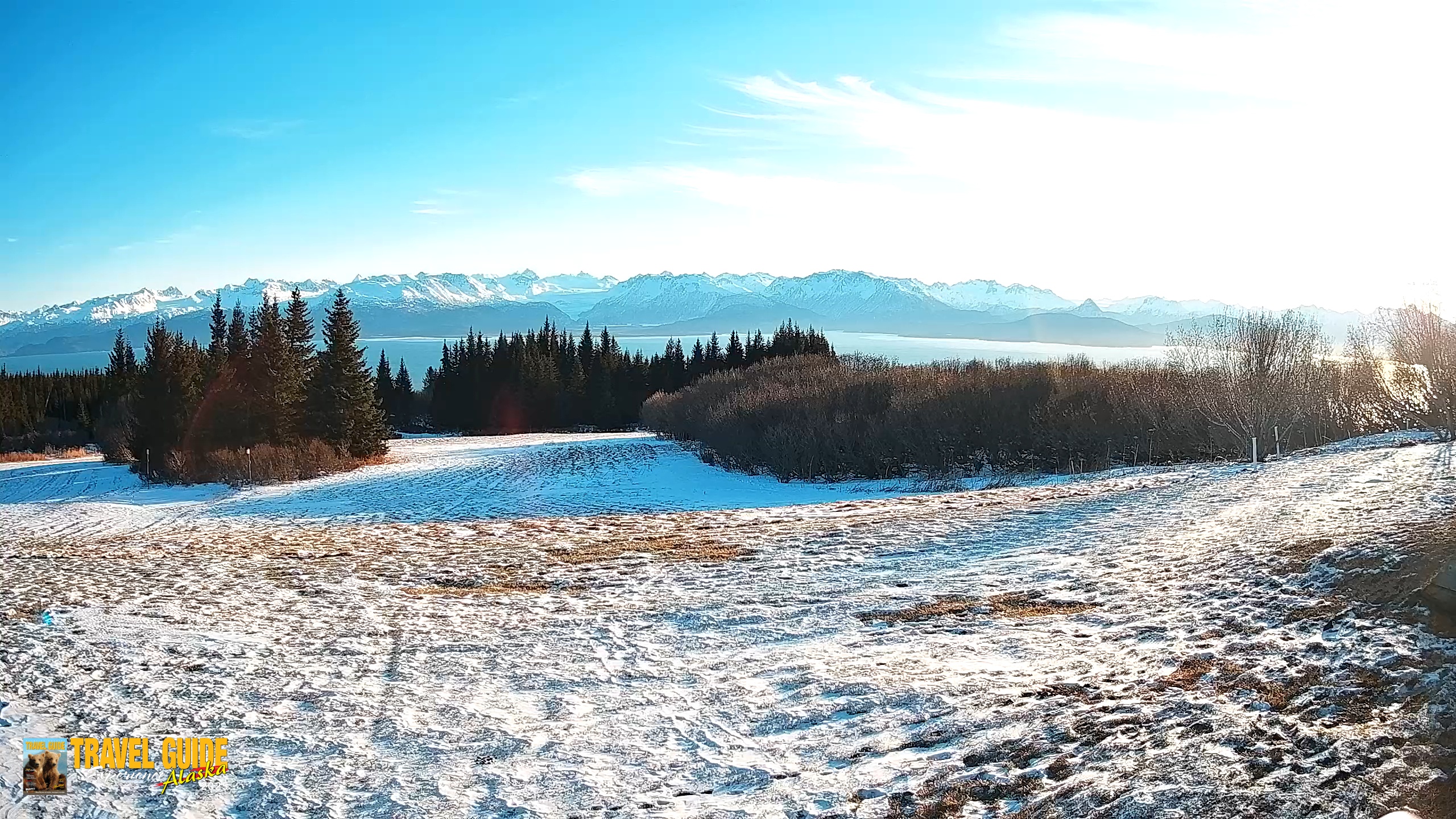 Snapshot of Homer Alaska Northern Lights Live Cam taken Jan 4, 2026, 12:14pm AKST