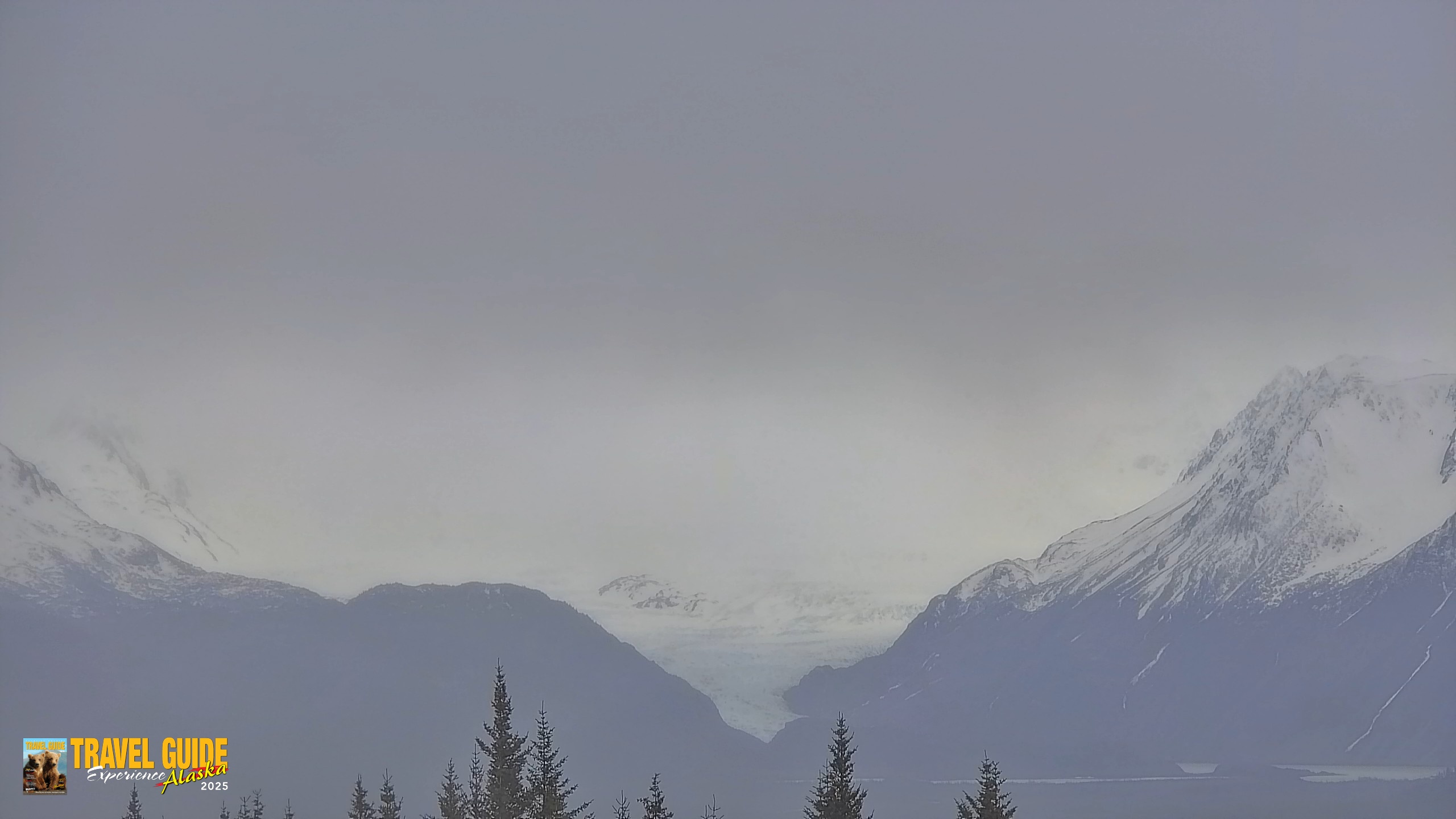 Snapshot of Homer Alaska Northern Lights Live Cam taken May 17, 2026, 2:35pm AKDT