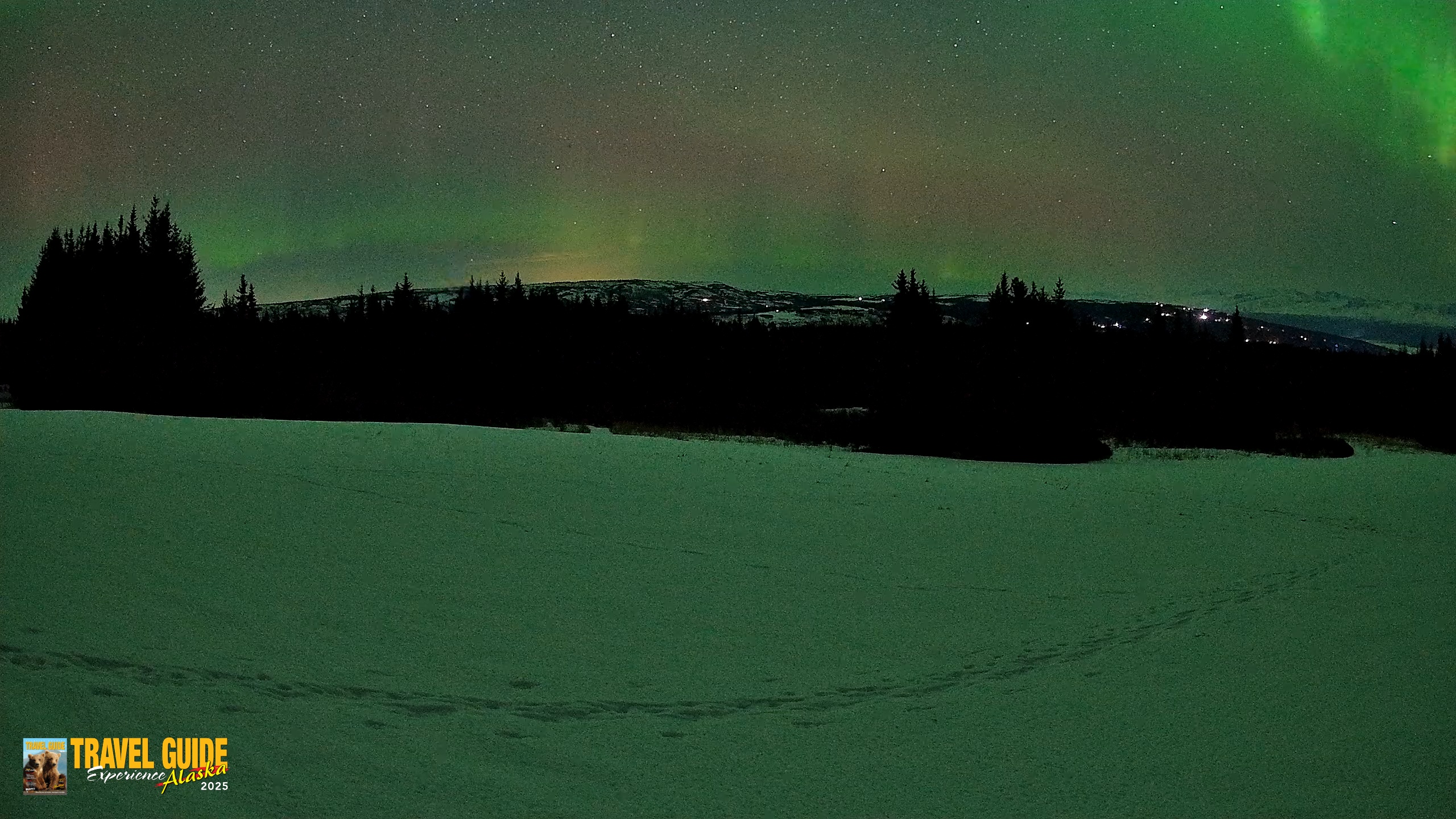 Snapshot of Homer Alaska Northern Lights Live Cam taken Feb 22, 2026, 1:52am AKST