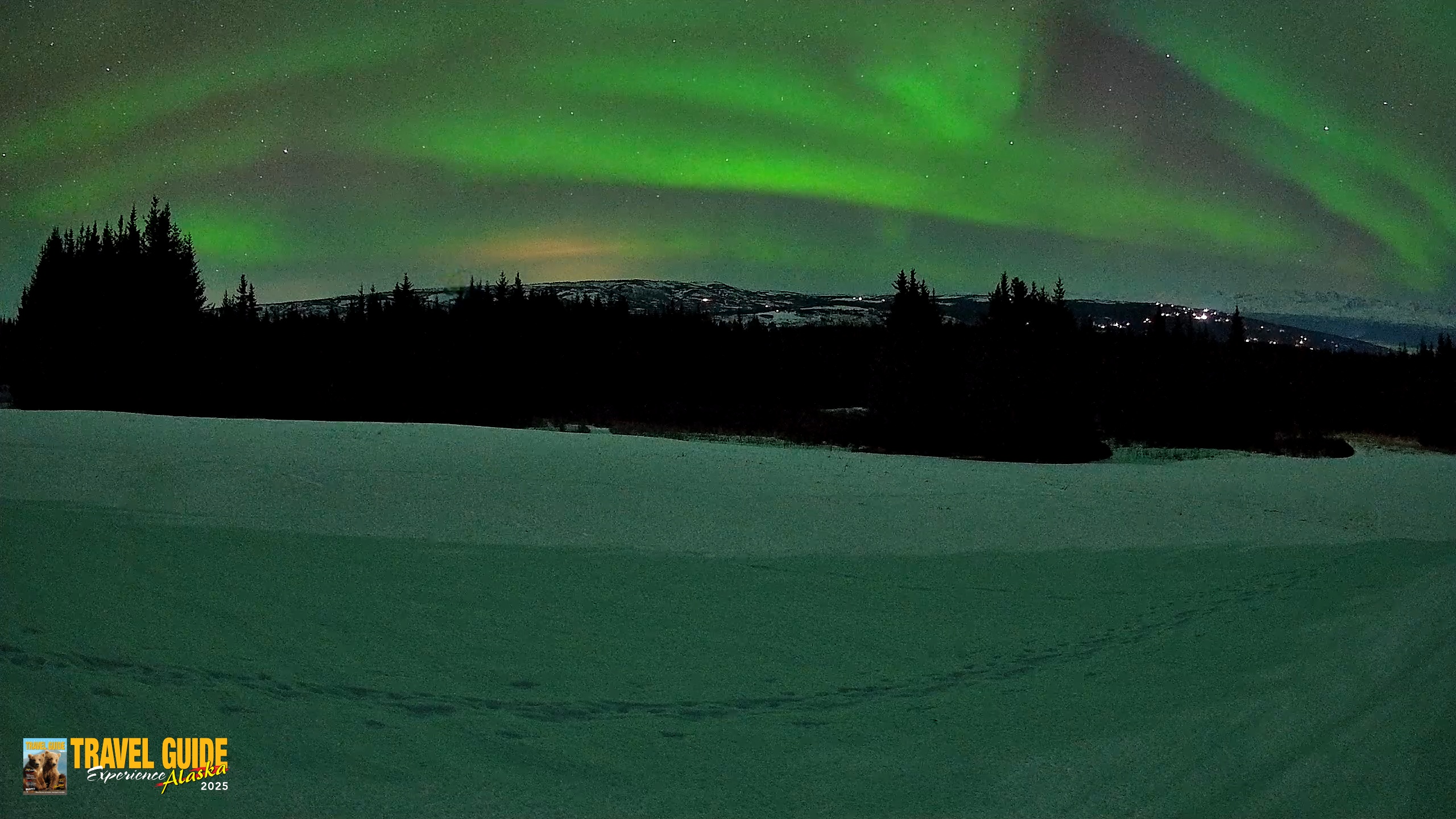 Snapshot of Homer Alaska Northern Lights Live Cam taken Feb 21, 2026, 10:28pm AKST