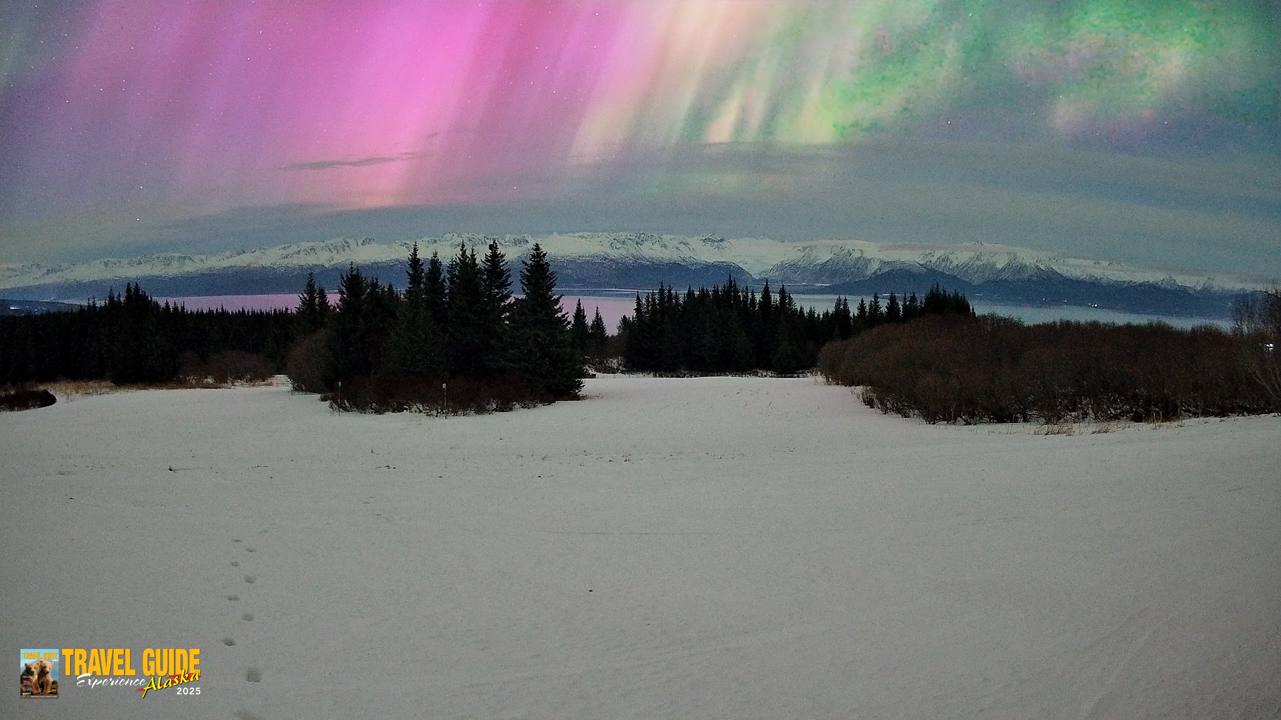 Snapshot of Homer Alaska Northern Lights Live Cam taken Jan 20, 2026, 6:26am AKST