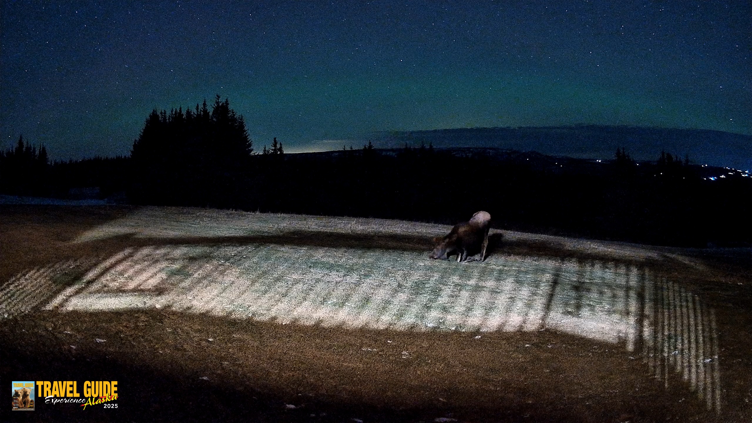 Snapshot of Homer Alaska Northern Lights Live Cam taken Dec 22, 2025, 9:47pm AKST