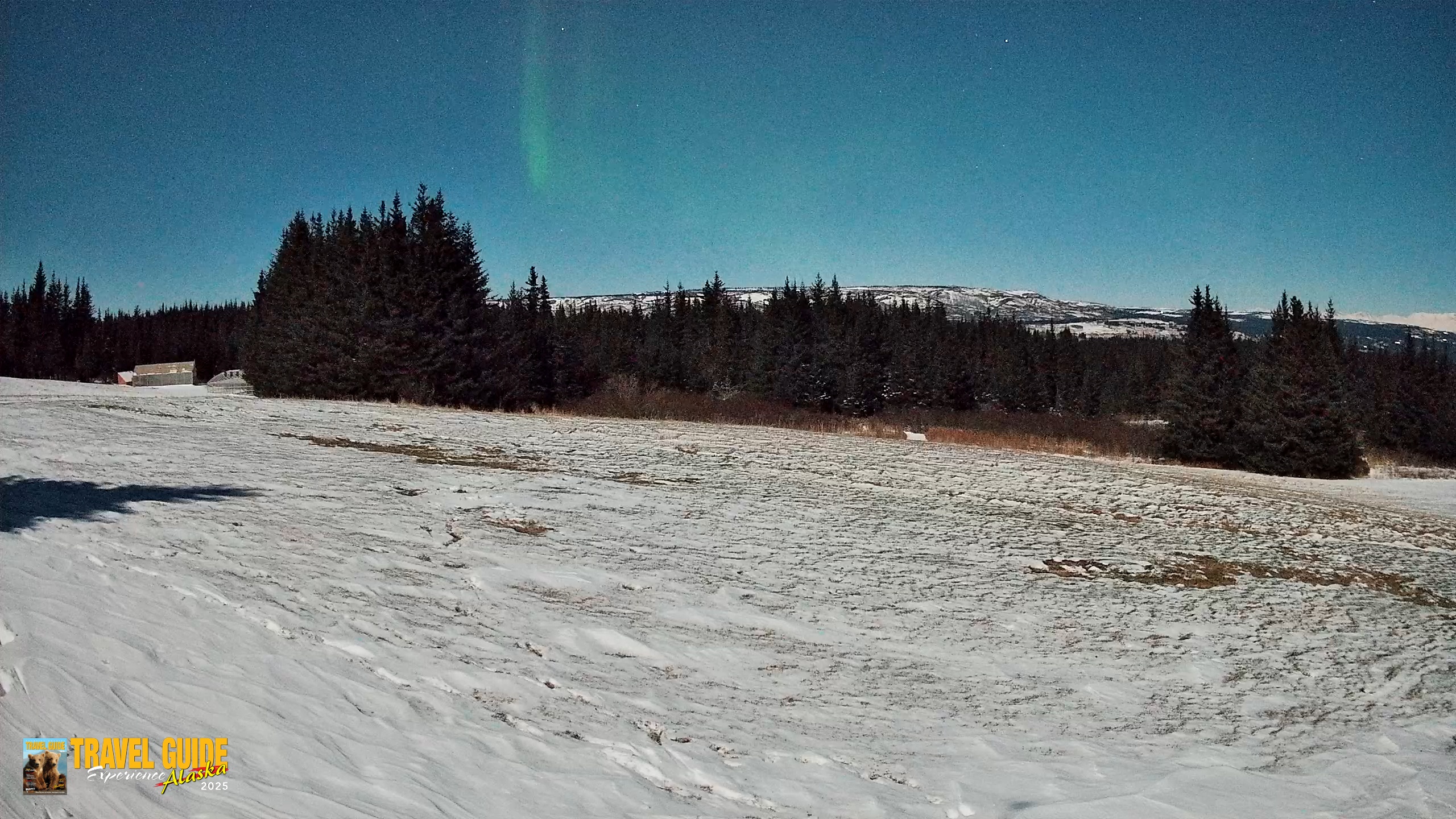 Snapshot of Homer Alaska Northern Lights Live Cam taken Jan 3, 2026, 3:46am AKST