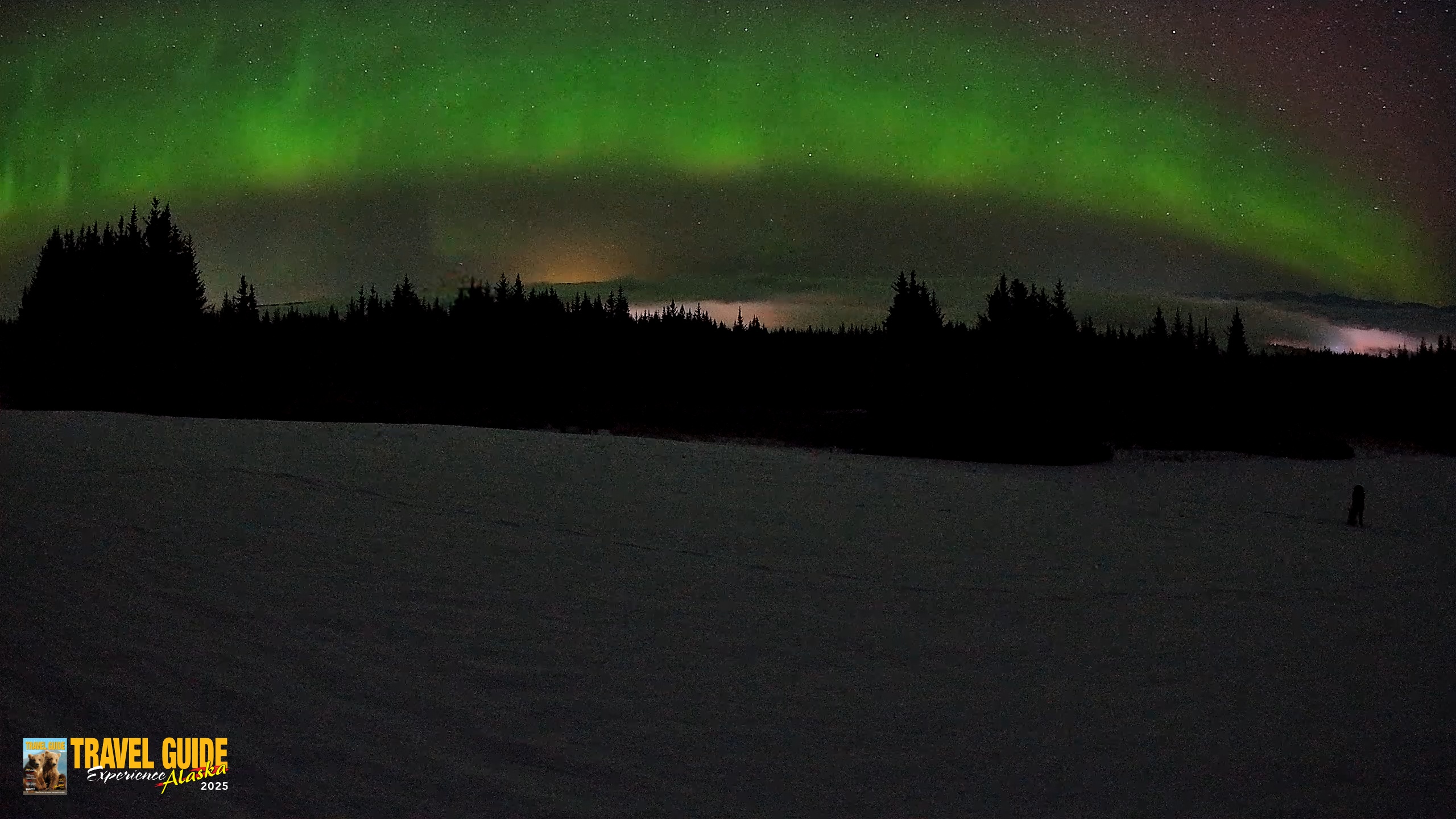 Snapshot of Homer Alaska Northern Lights Live Cam taken Feb 19, 2026, 3:31am AKST