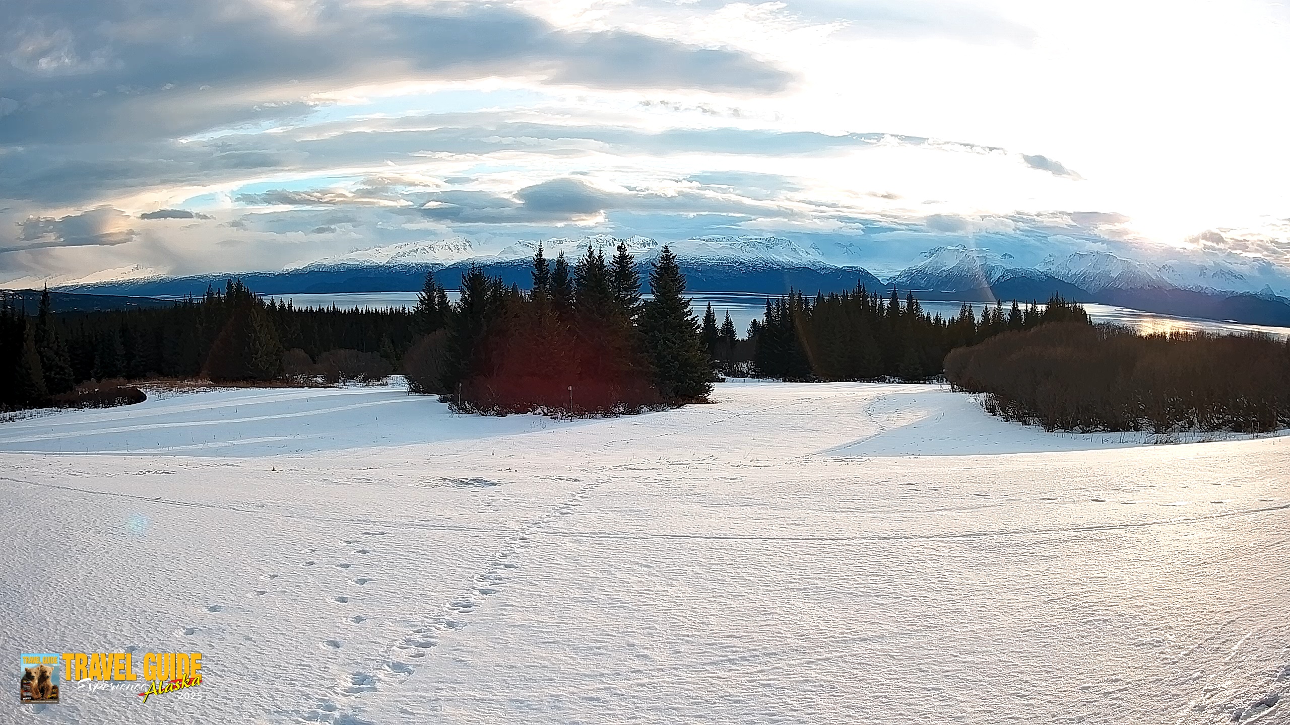 Snapshot of Homer Alaska Northern Lights Live Cam taken Jan 30, 2026, 10:18am AKST