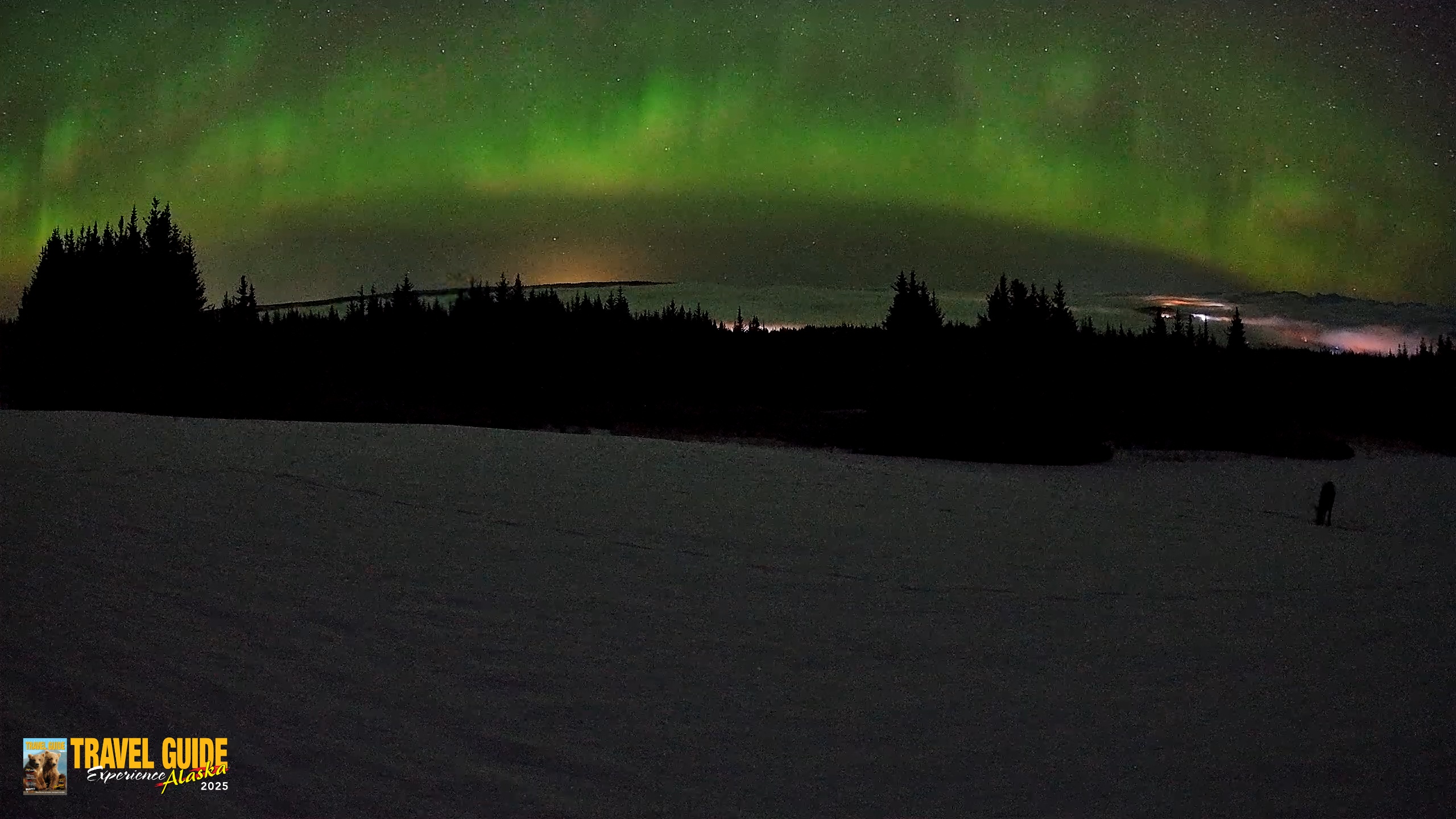 Snapshot of Homer Alaska Northern Lights Live Cam taken Feb 19, 2026, 3:55am AKST