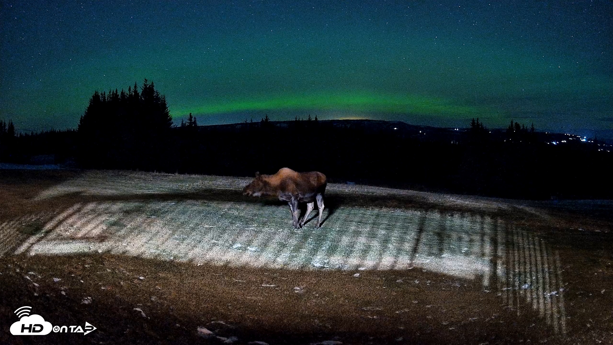 Snapshot of Homer Alaska Northern Lights Live Cam taken Dec 11, 2025, 9:53pm AKST