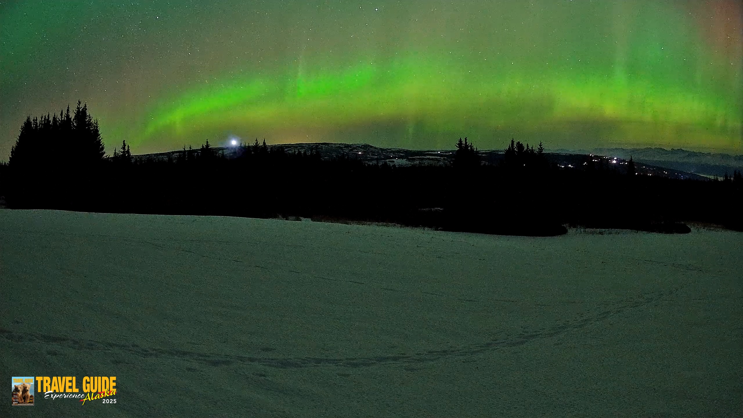 Snapshot of Homer Alaska Northern Lights Live Cam taken Feb 22, 2026, 12:40am AKST