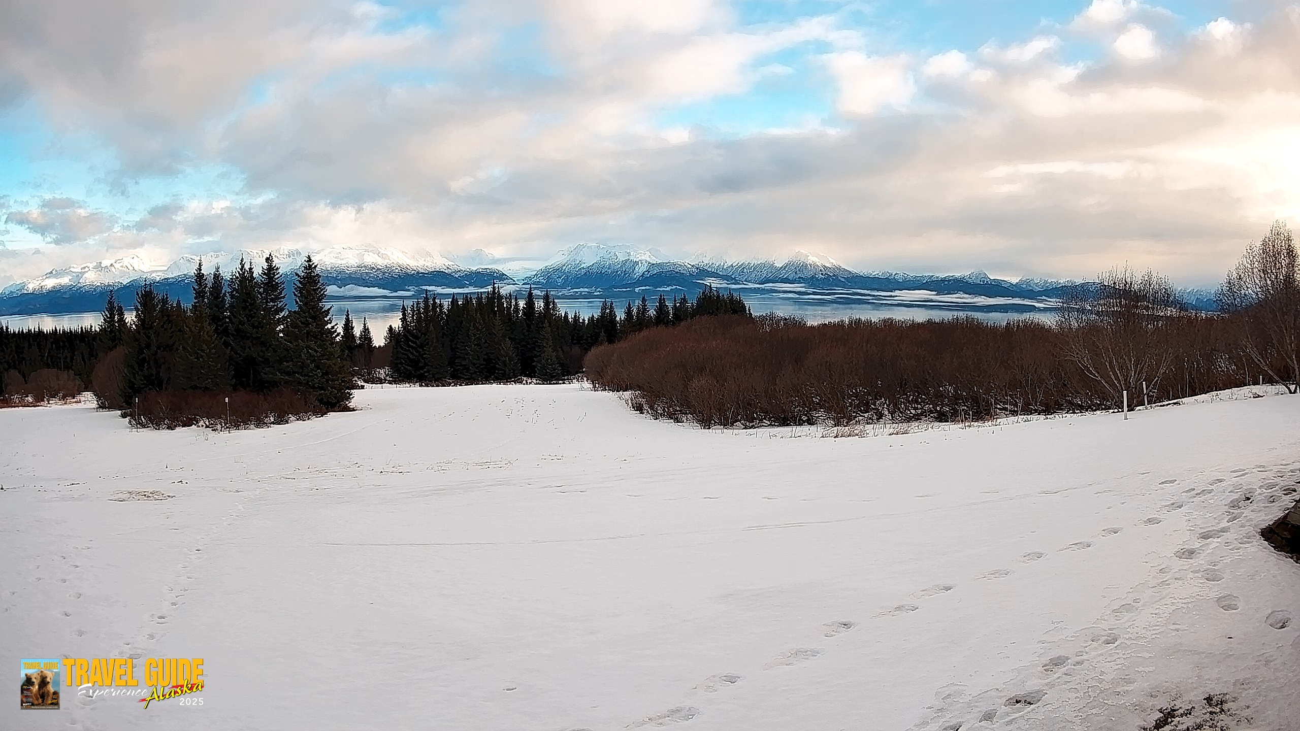 Snapshot of Homer Alaska Northern Lights Live Cam taken Jan 31, 2026, 3:23pm AKST