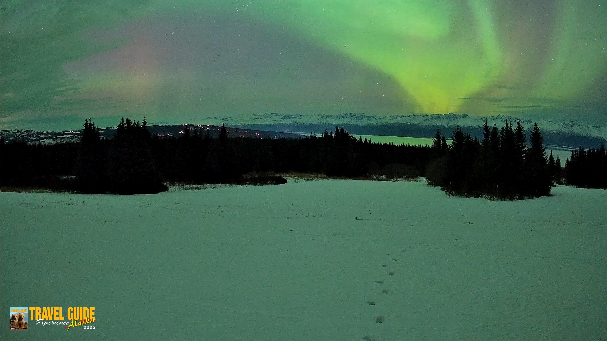 Snapshot of Homer Alaska Northern Lights Live Cam taken Jan 20, 2026, 10:38pm AKST