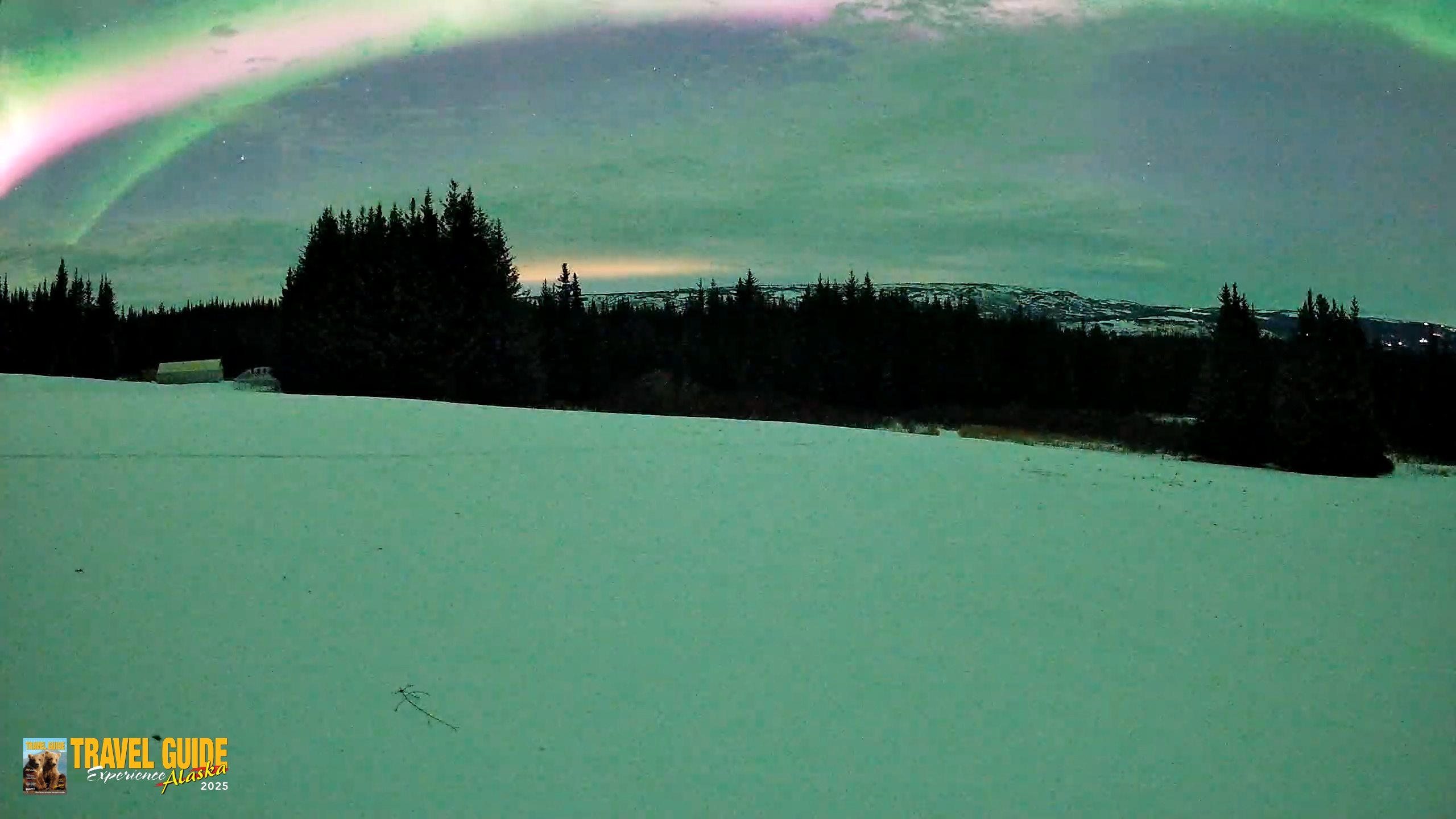 Snapshot of Homer Alaska Northern Lights Live Cam taken Jan 21, 2026, 12:18am AKST