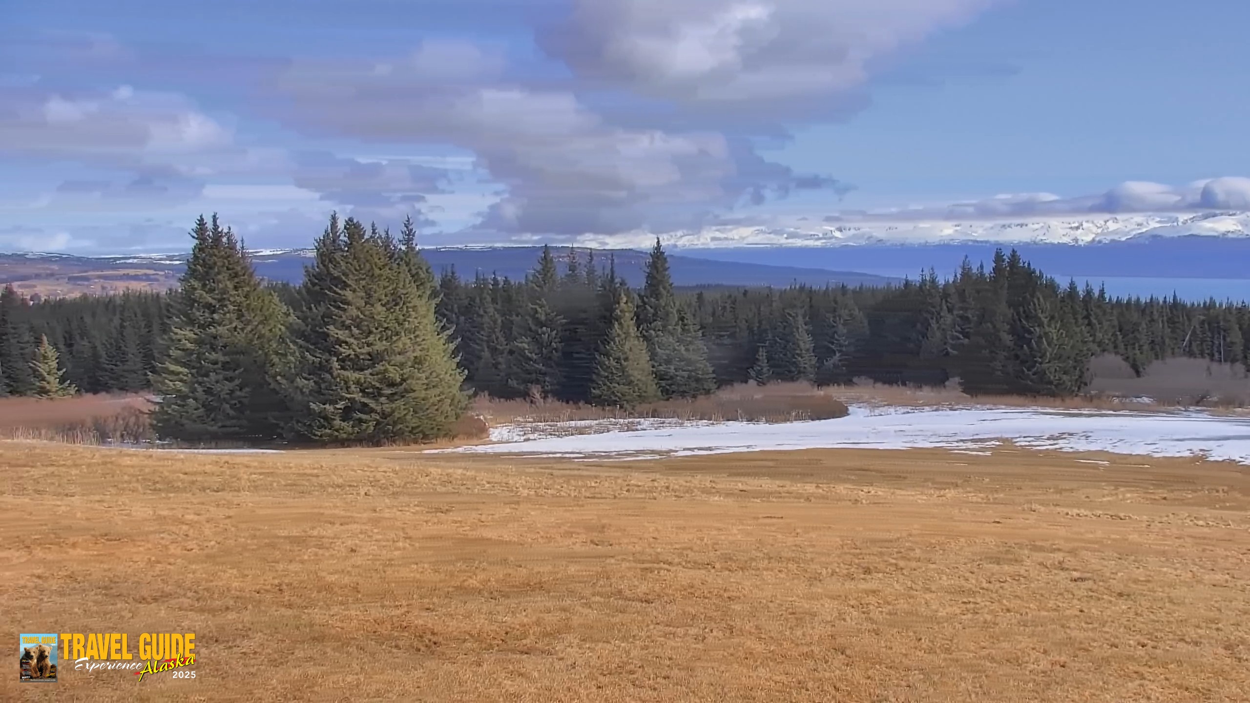 Snapshot of Homer Alaska Northern Lights Live Cam taken Apr 21, 2026, 1:20pm AKDT