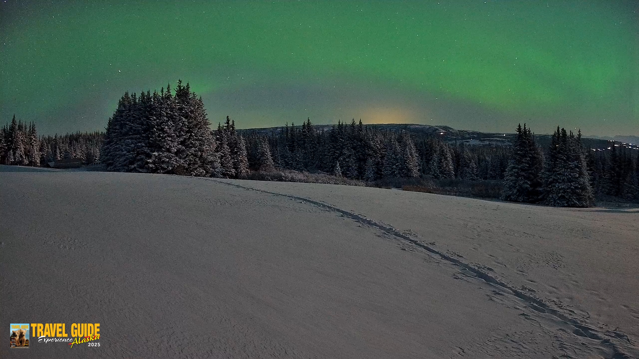 Snapshot of Homer Alaska Northern Lights Live Cam taken Jan 8, 2026, 12:46am AKST