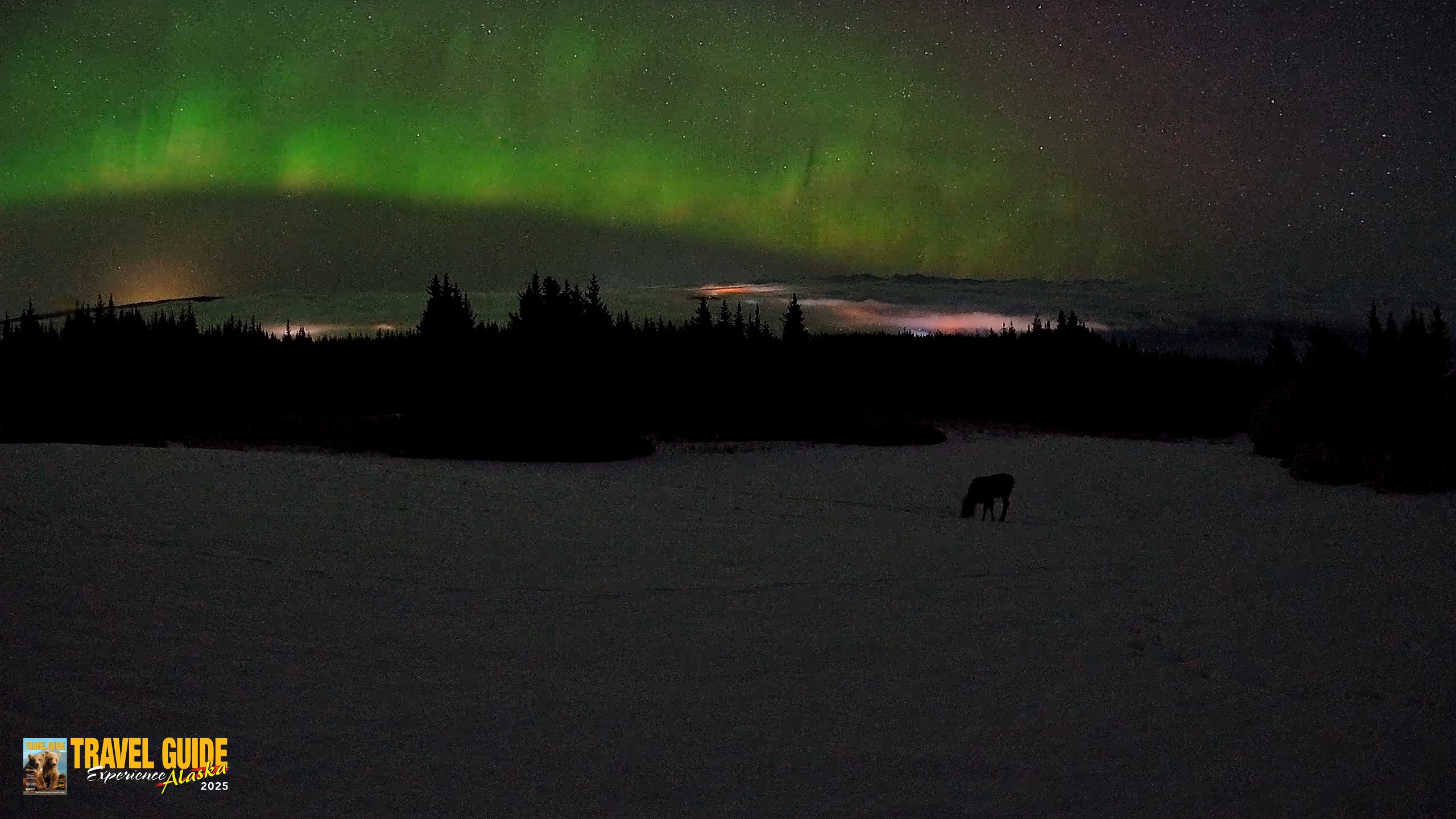 Snapshot of Homer Alaska Northern Lights Live Cam taken Feb 19, 2026, 3:48am AKST