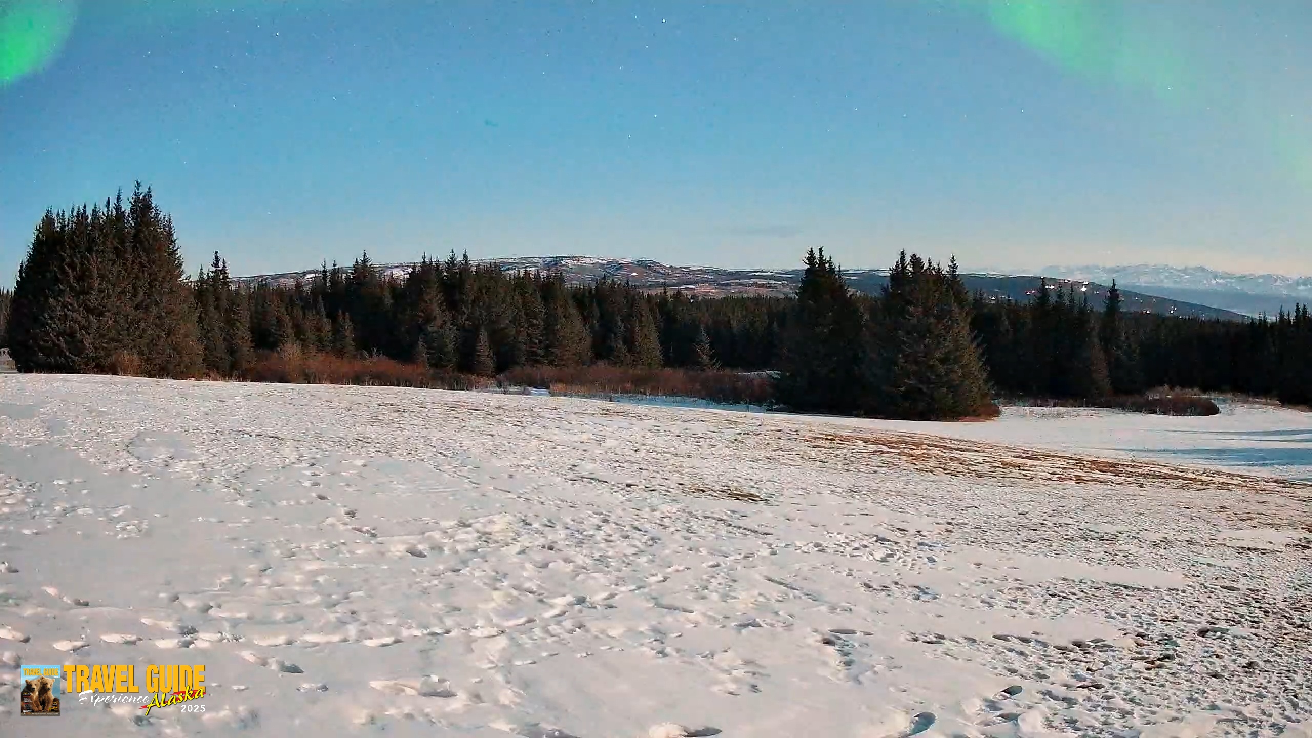 Snapshot of Homer Alaska Northern Lights Live Cam taken Apr 1, 2026, 11:06pm AKDT