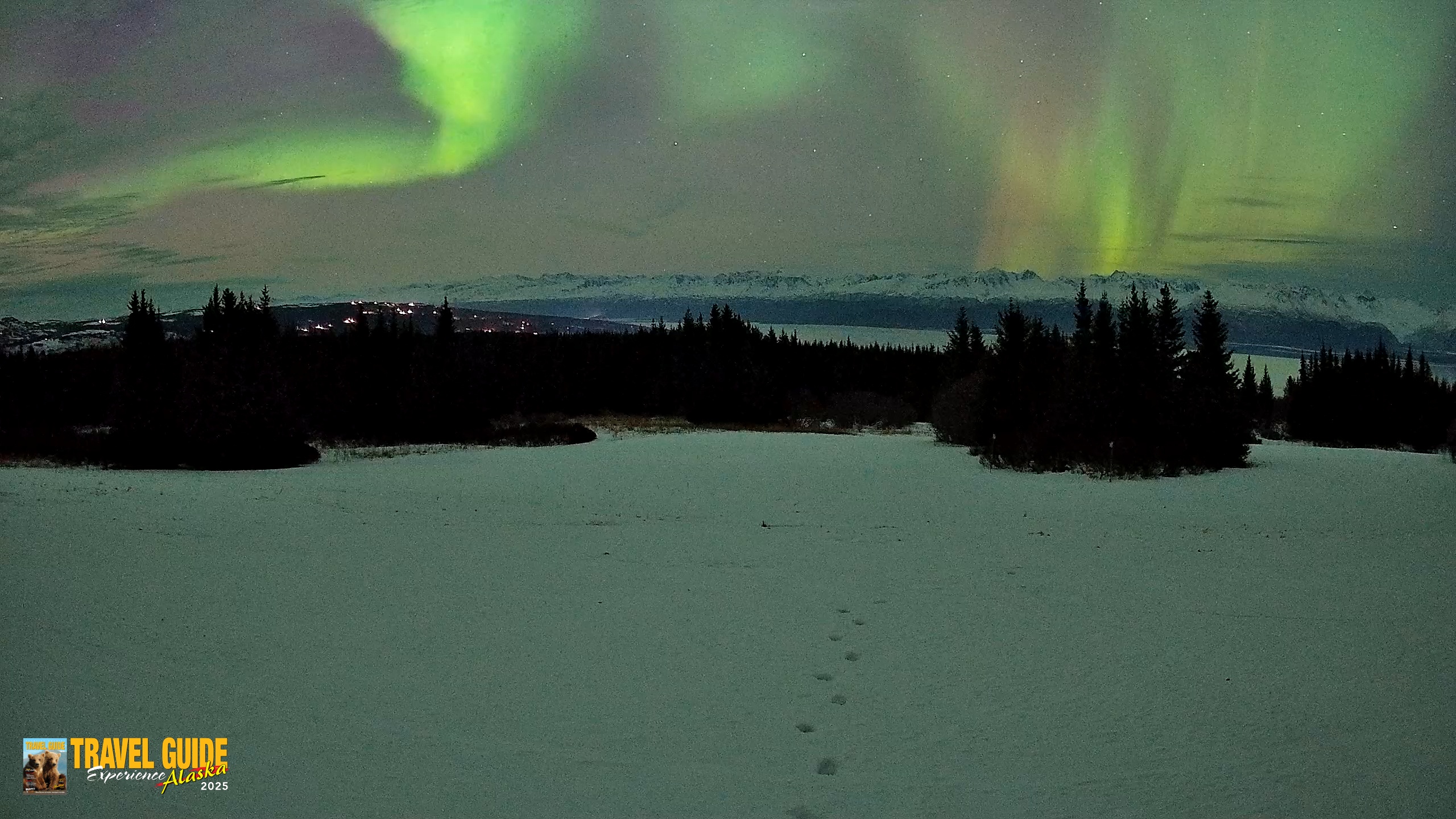 Snapshot of Homer Alaska Northern Lights Live Cam taken Jan 20, 2026, 10:22pm AKST