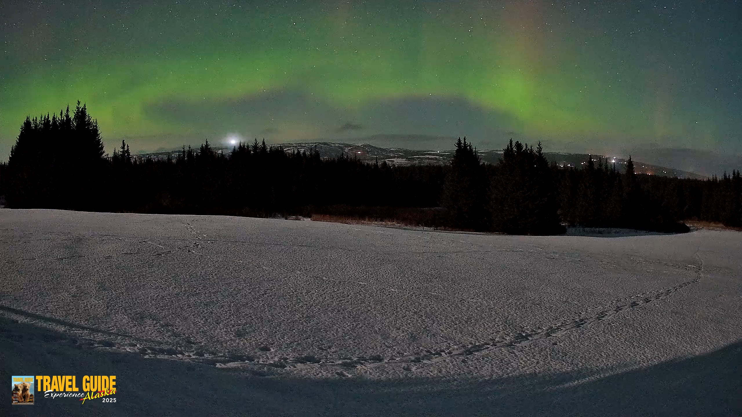 Snapshot of Homer Alaska Northern Lights Live Cam taken Feb 24, 2026, 1:34am AKST