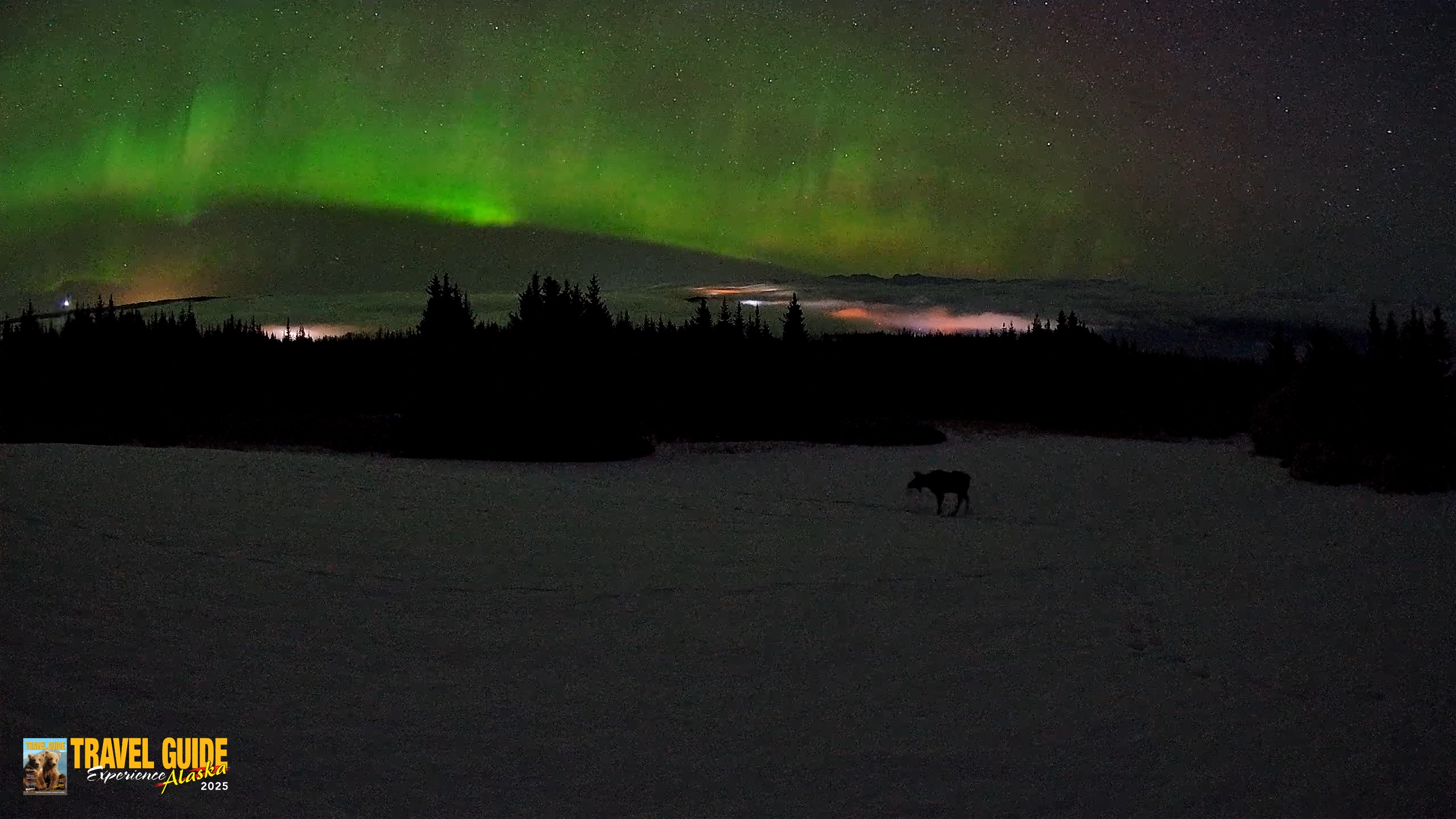 Snapshot of Homer Alaska Northern Lights Live Cam taken Feb 19, 2026, 3:50am AKST