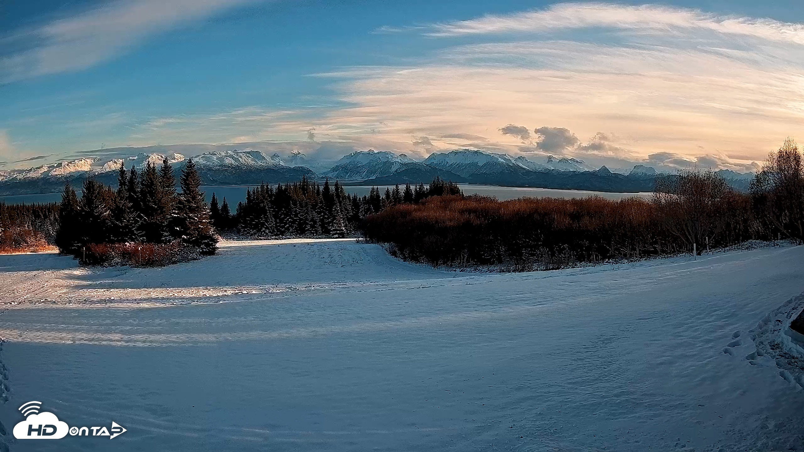 Snapshot of Homer Alaska Northern Lights Live Cam taken Nov 25, 2025, 2:09pm AKST
