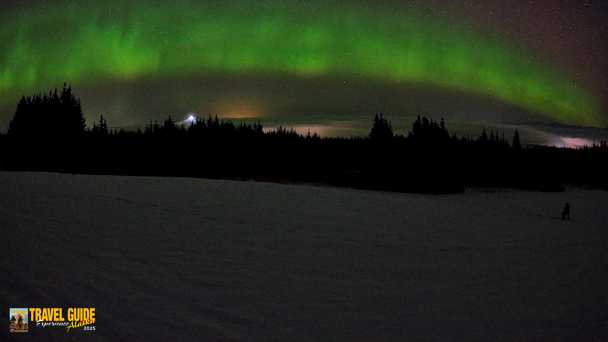 Snapshot of Homer Alaska Northern Lights Live Cam taken Feb 19, 2026, 3:31am AKST