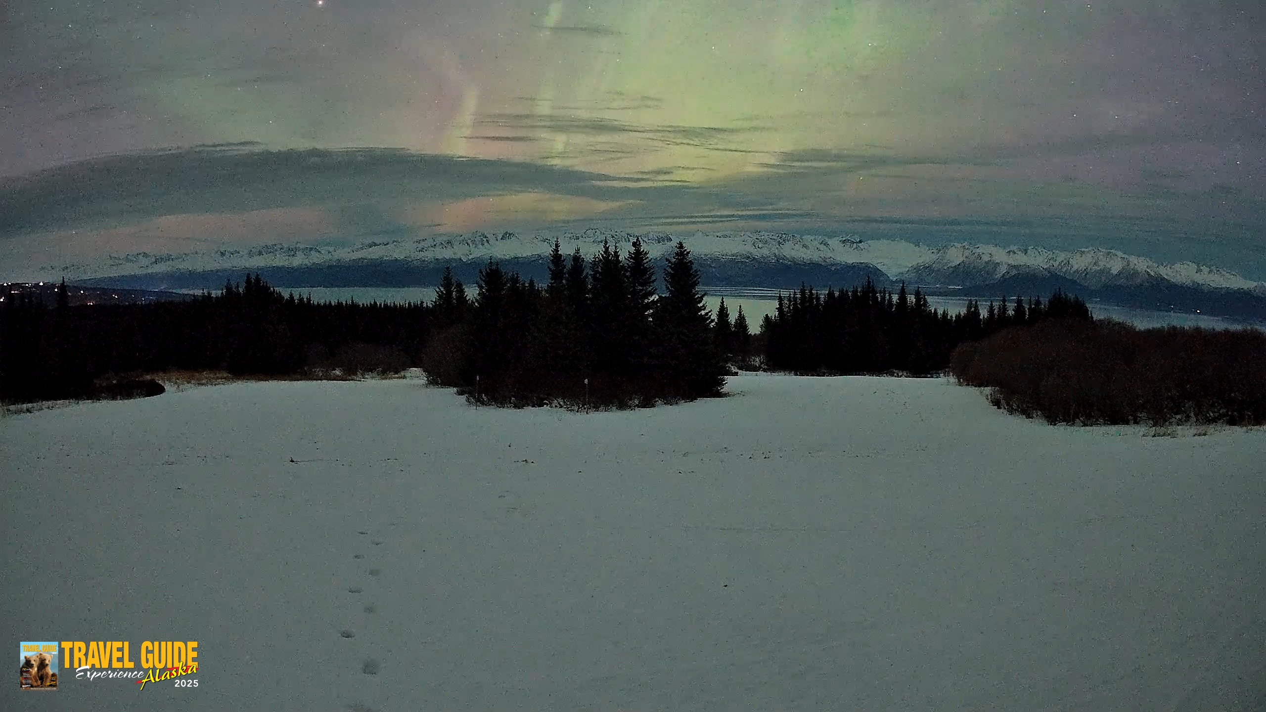 Snapshot of Homer Alaska Northern Lights Live Cam taken Jan 21, 2026, 1:26am AKST