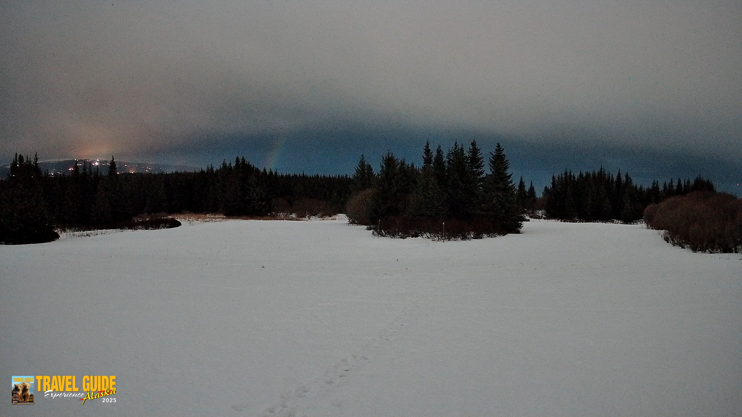 Snapshot of Homer Alaska Northern Lights Live Cam taken Jan 29, 2026, 11:13am AKST